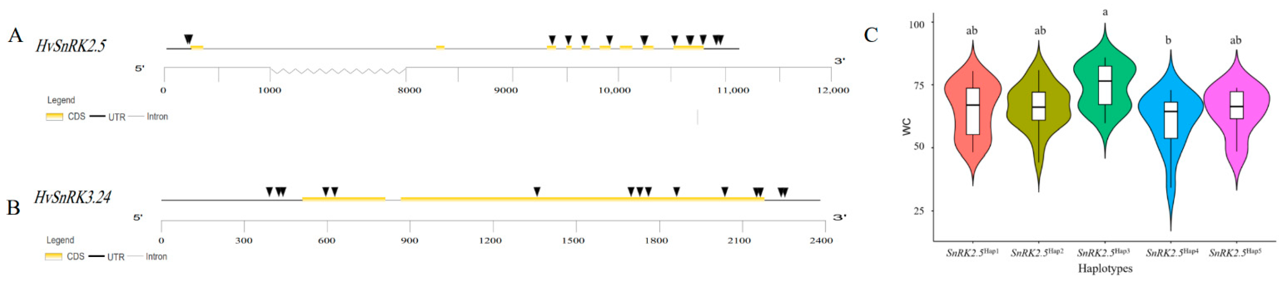 Plants 11 00975 g009