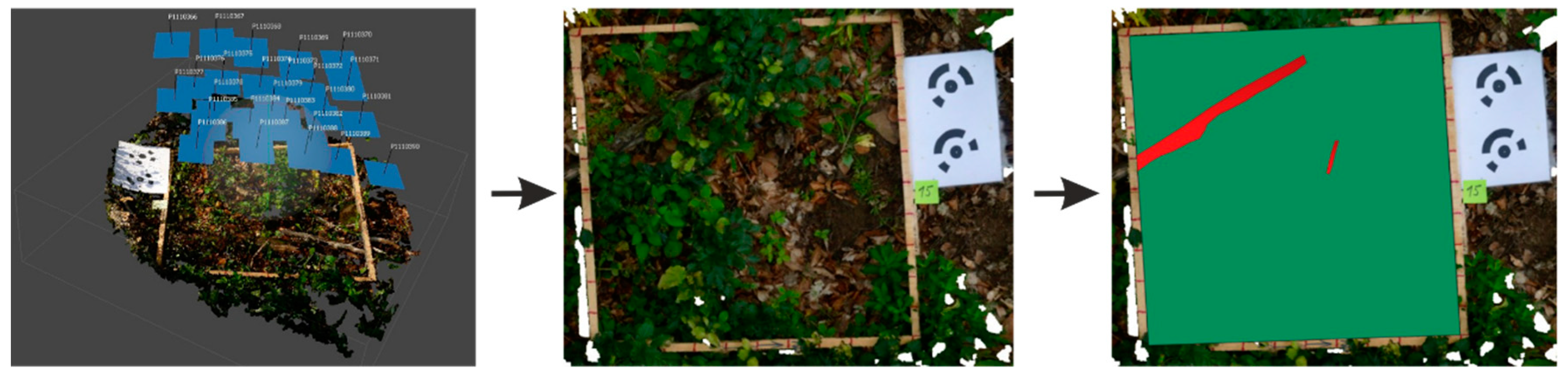 Plants 11 00987 g007 Plants 11 00987 g007