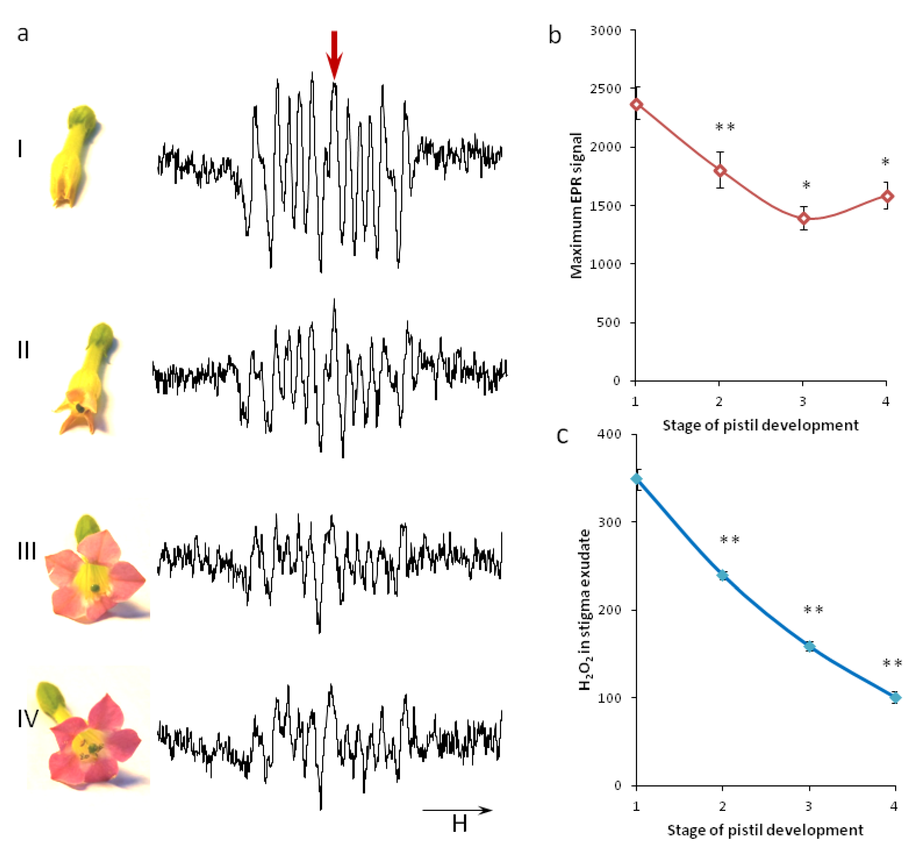 Plants 11 00993 g001