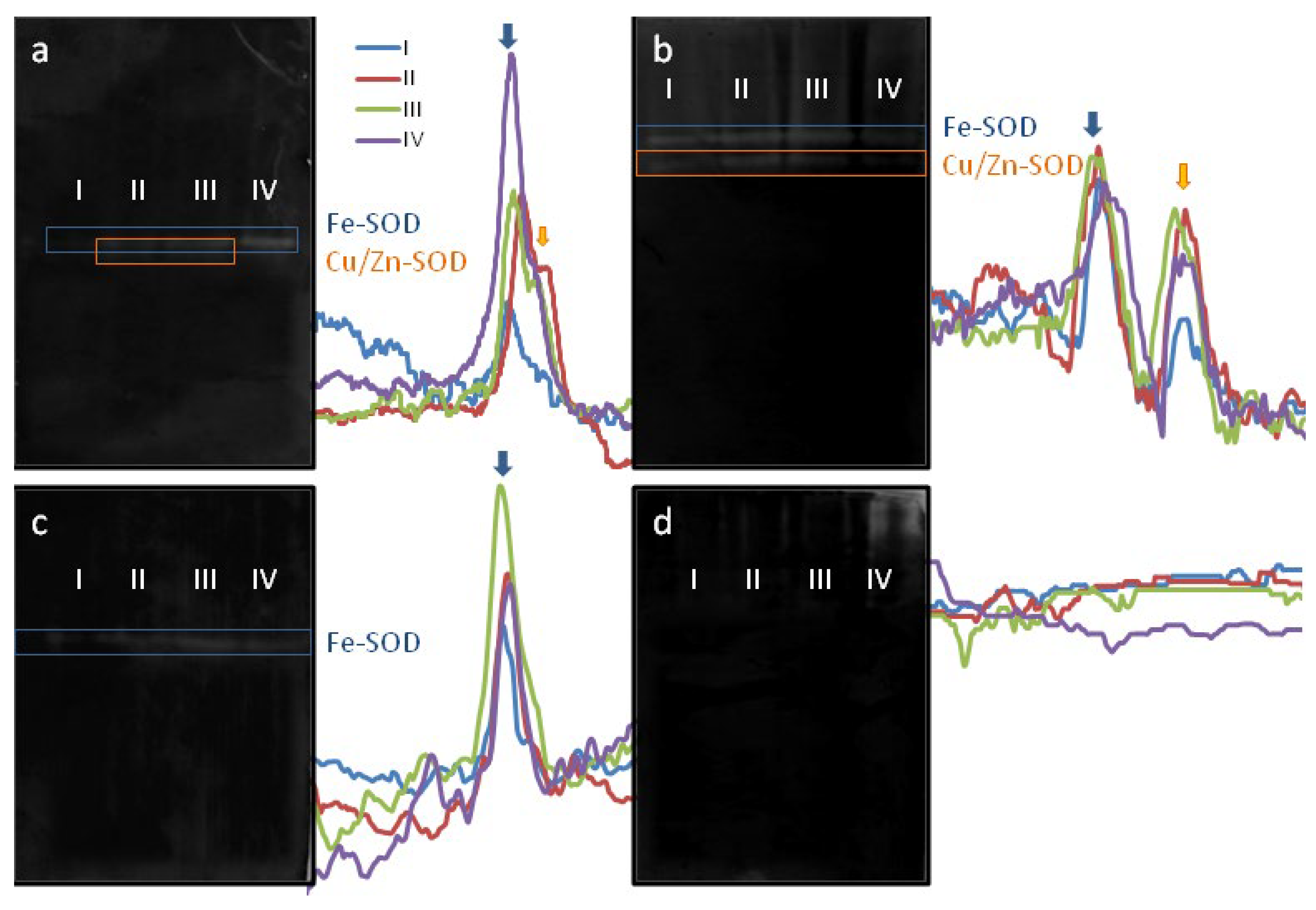 Plants 11 00993 g002