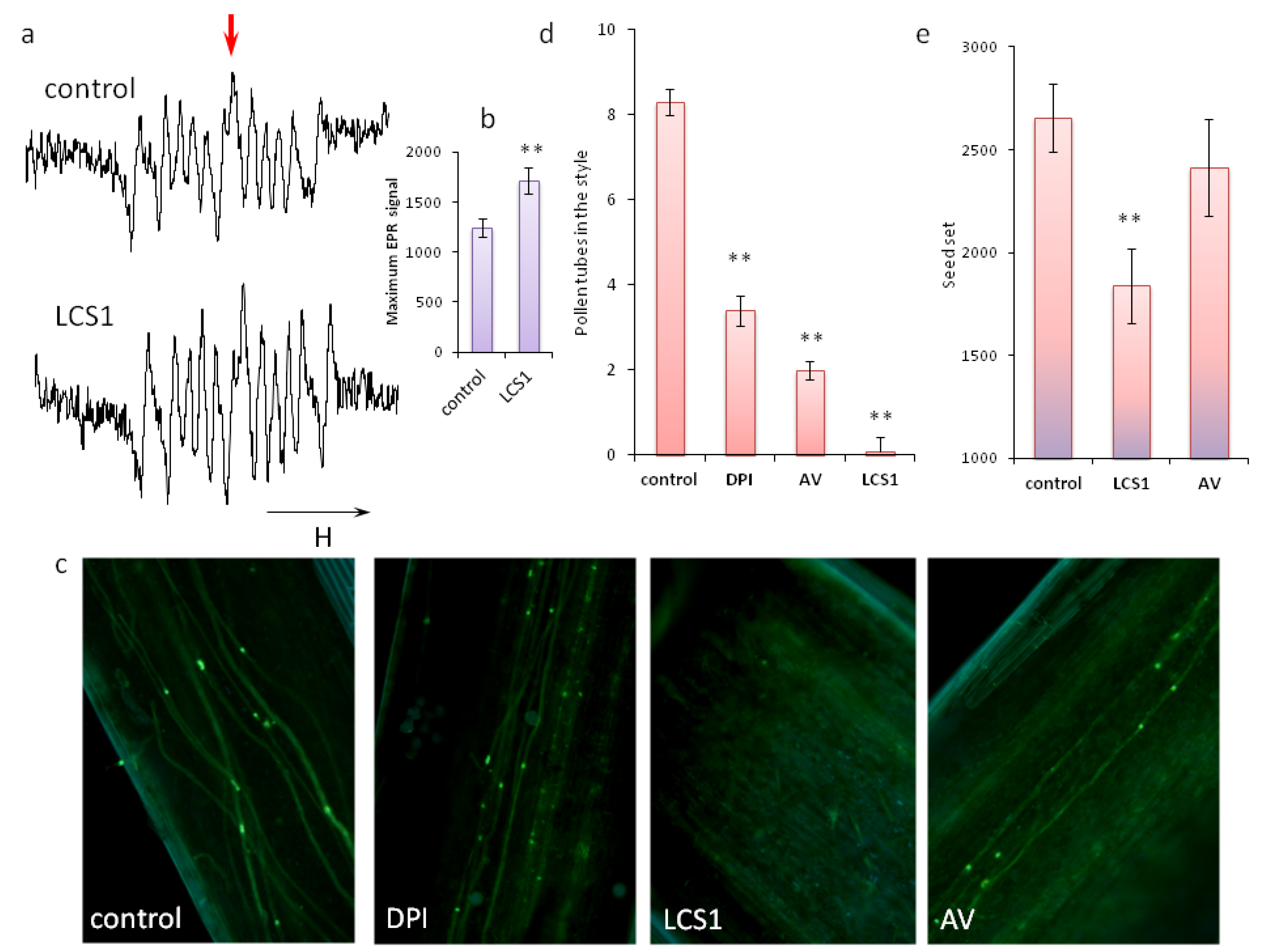 Plants 11 00993 g003