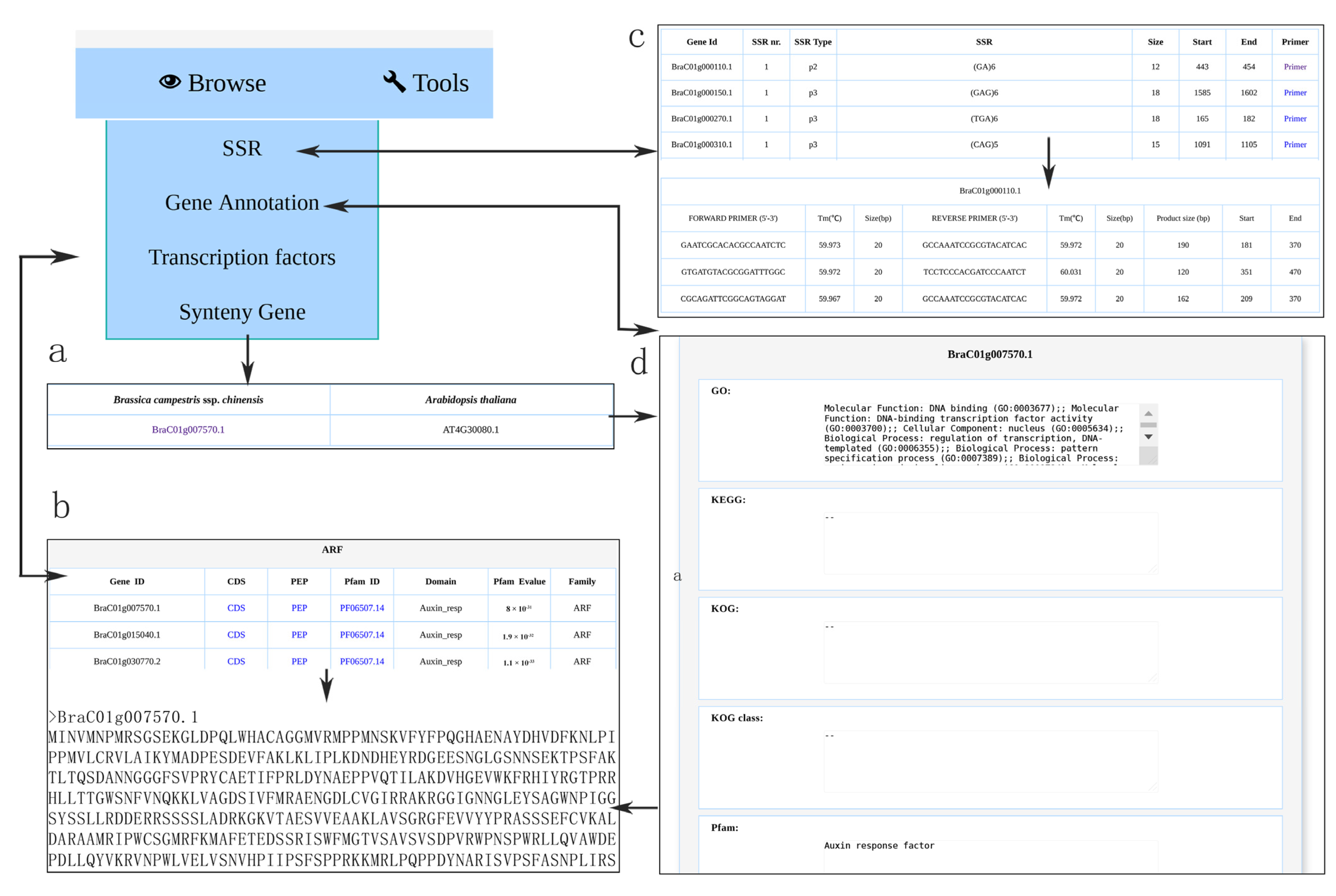 Plants 11 01005 g003