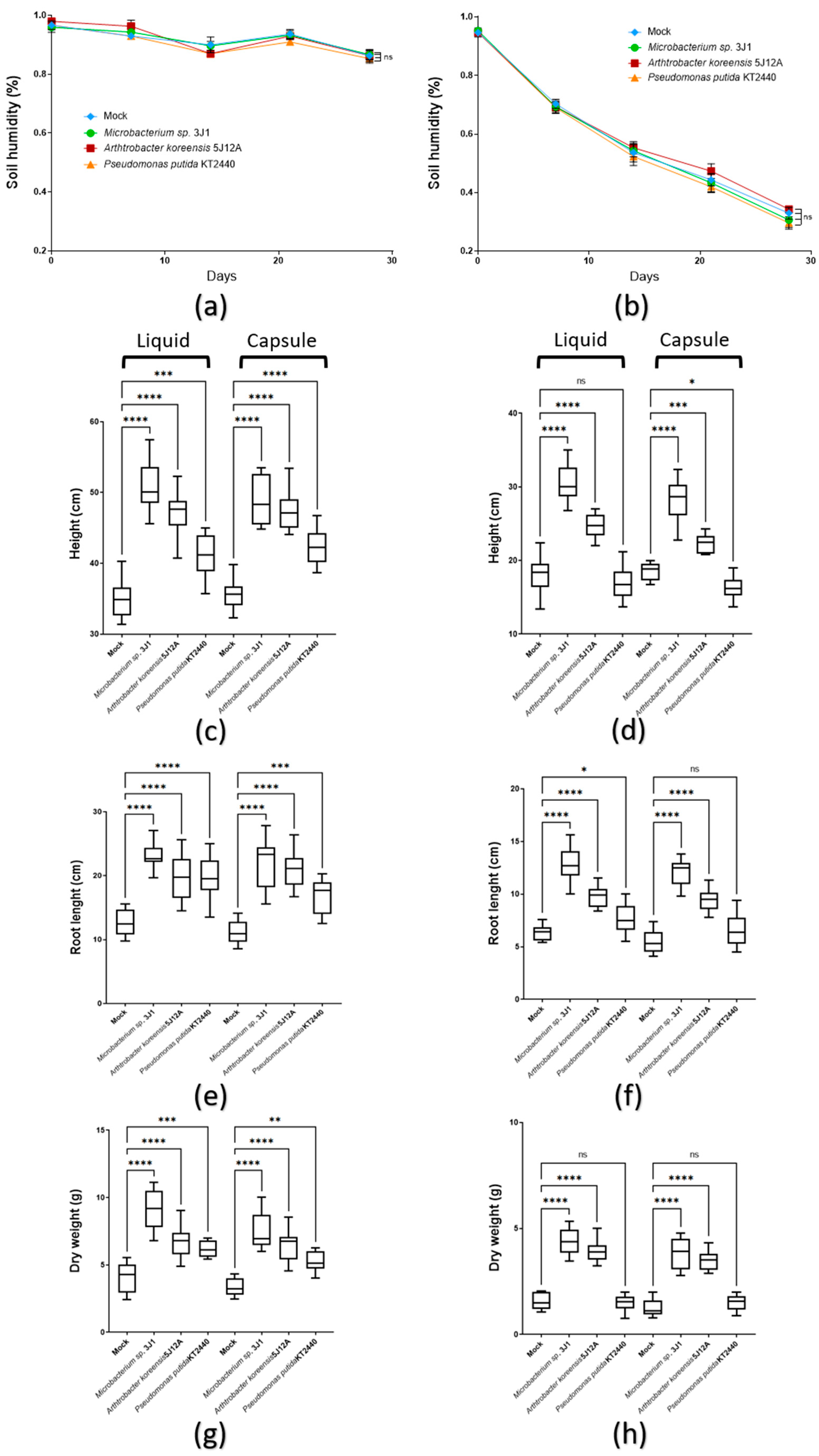 Plants 11 01024 g003