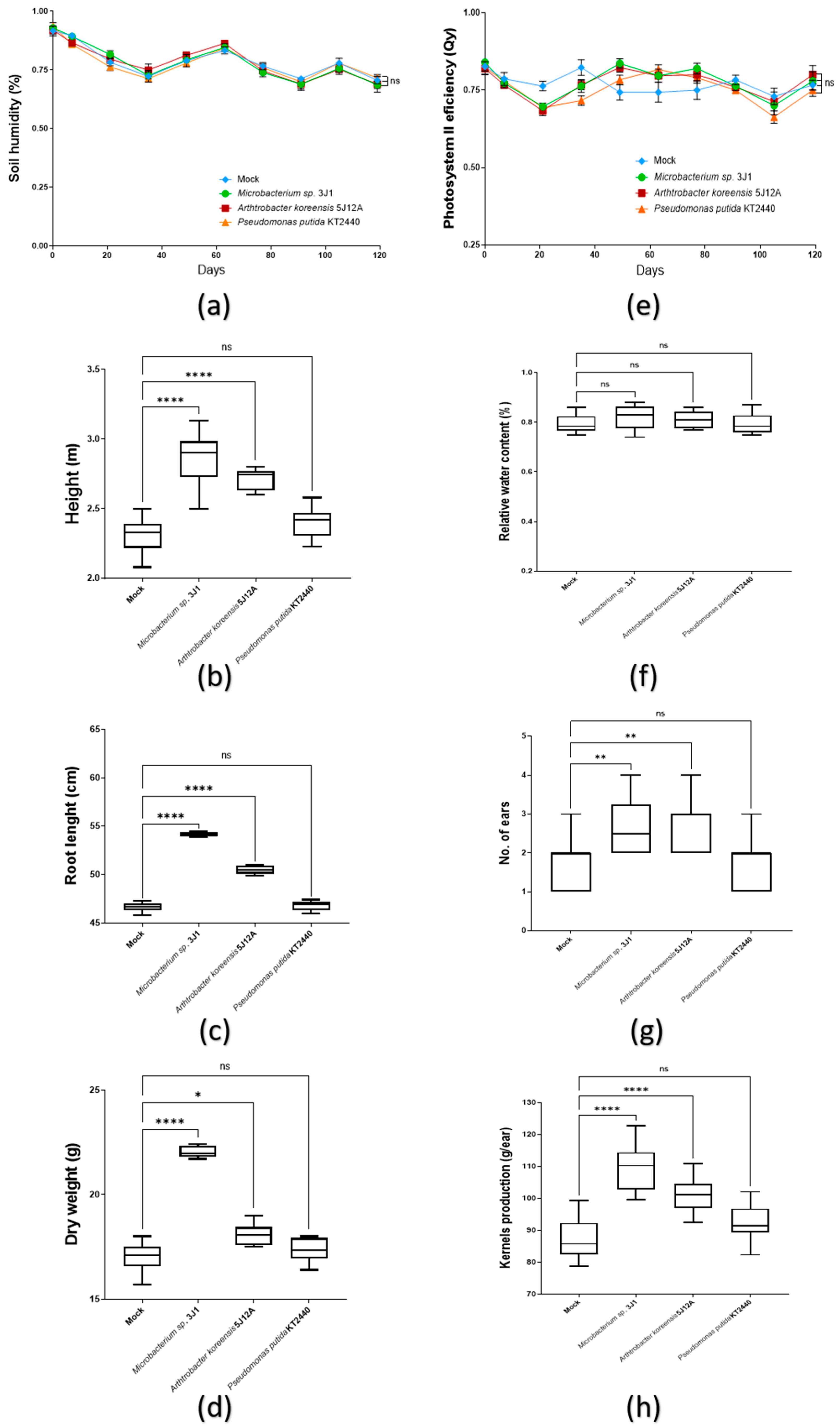 Plants 11 01024 g005