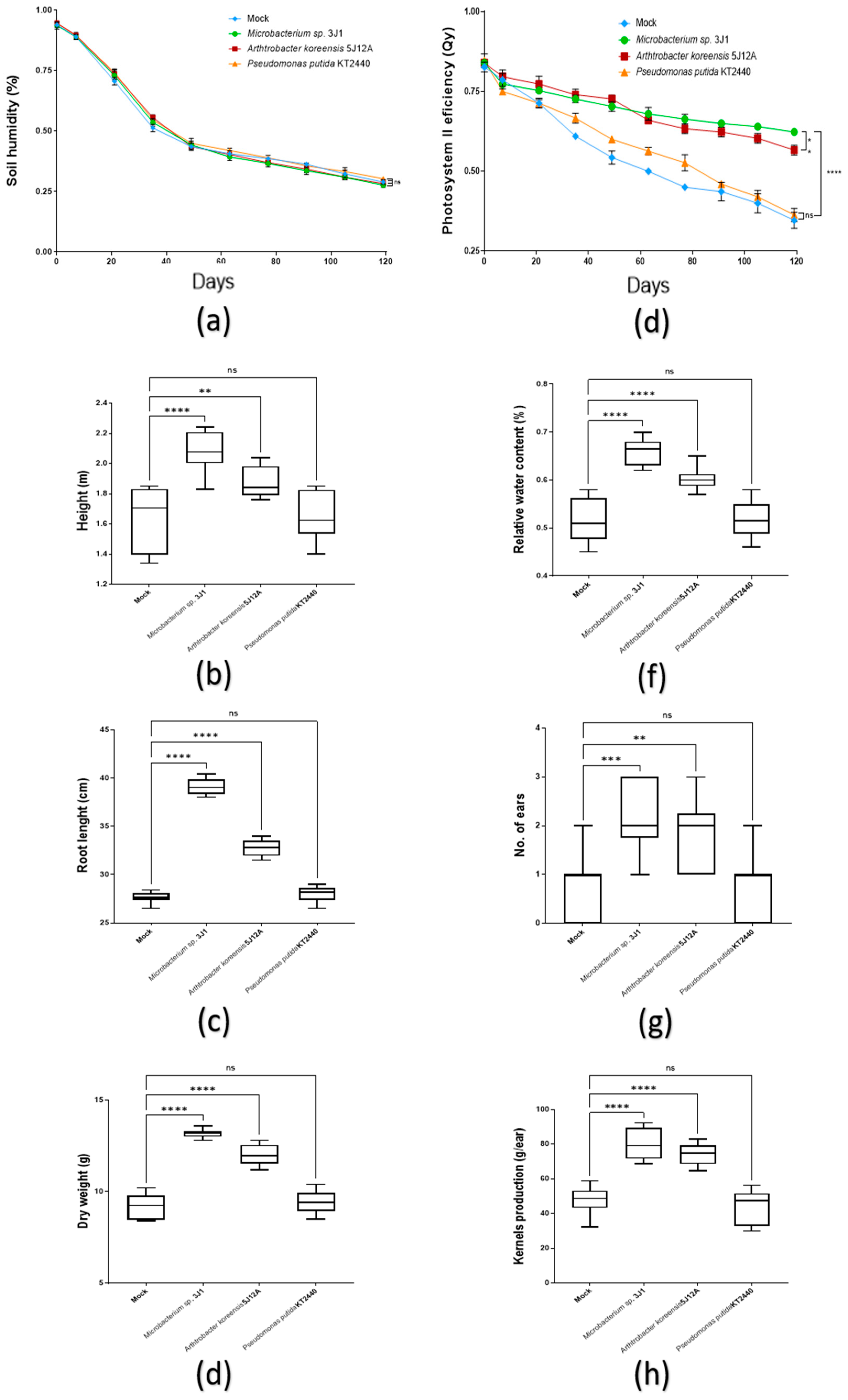 Plants 11 01024 g006