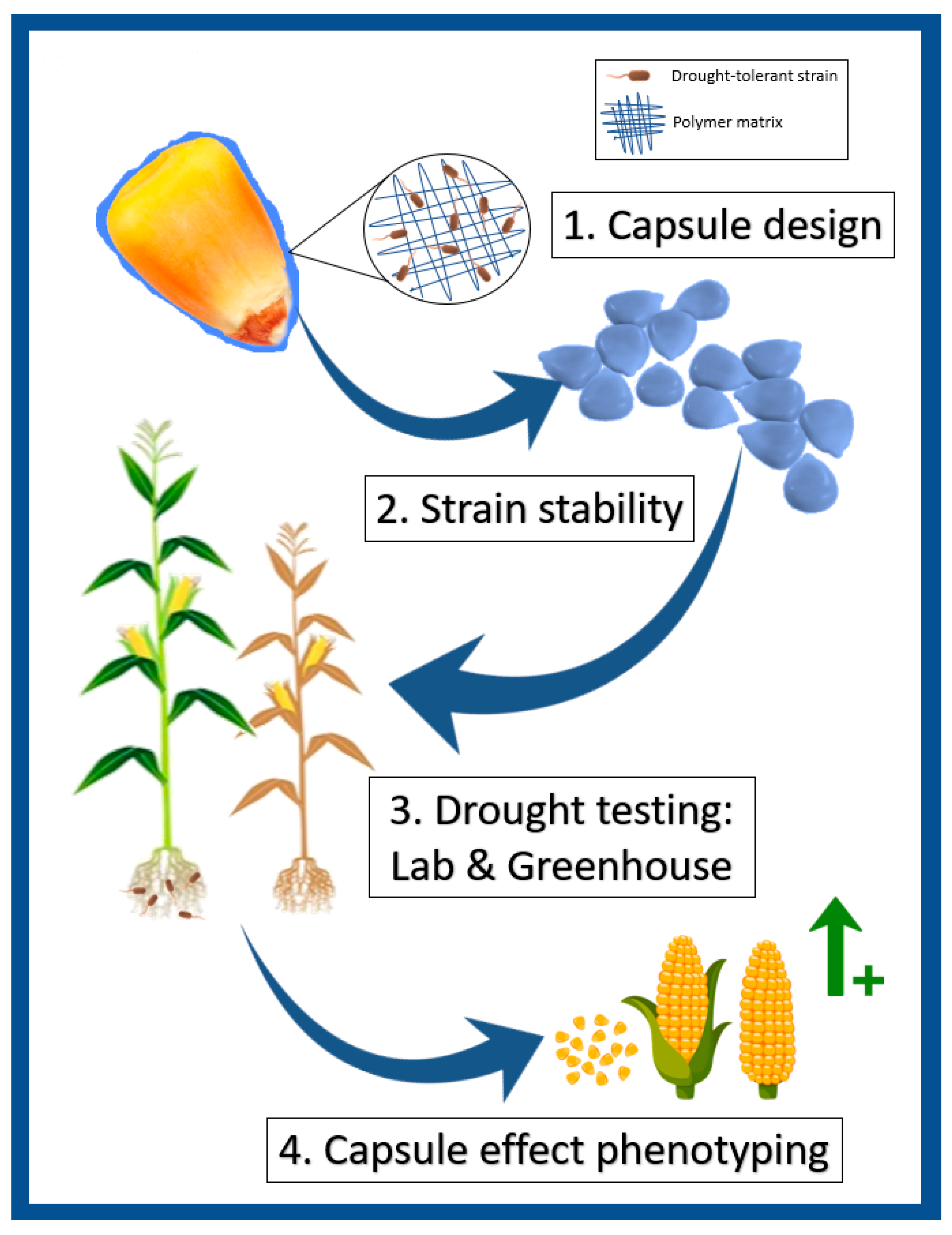 Plants 11 01024 g007