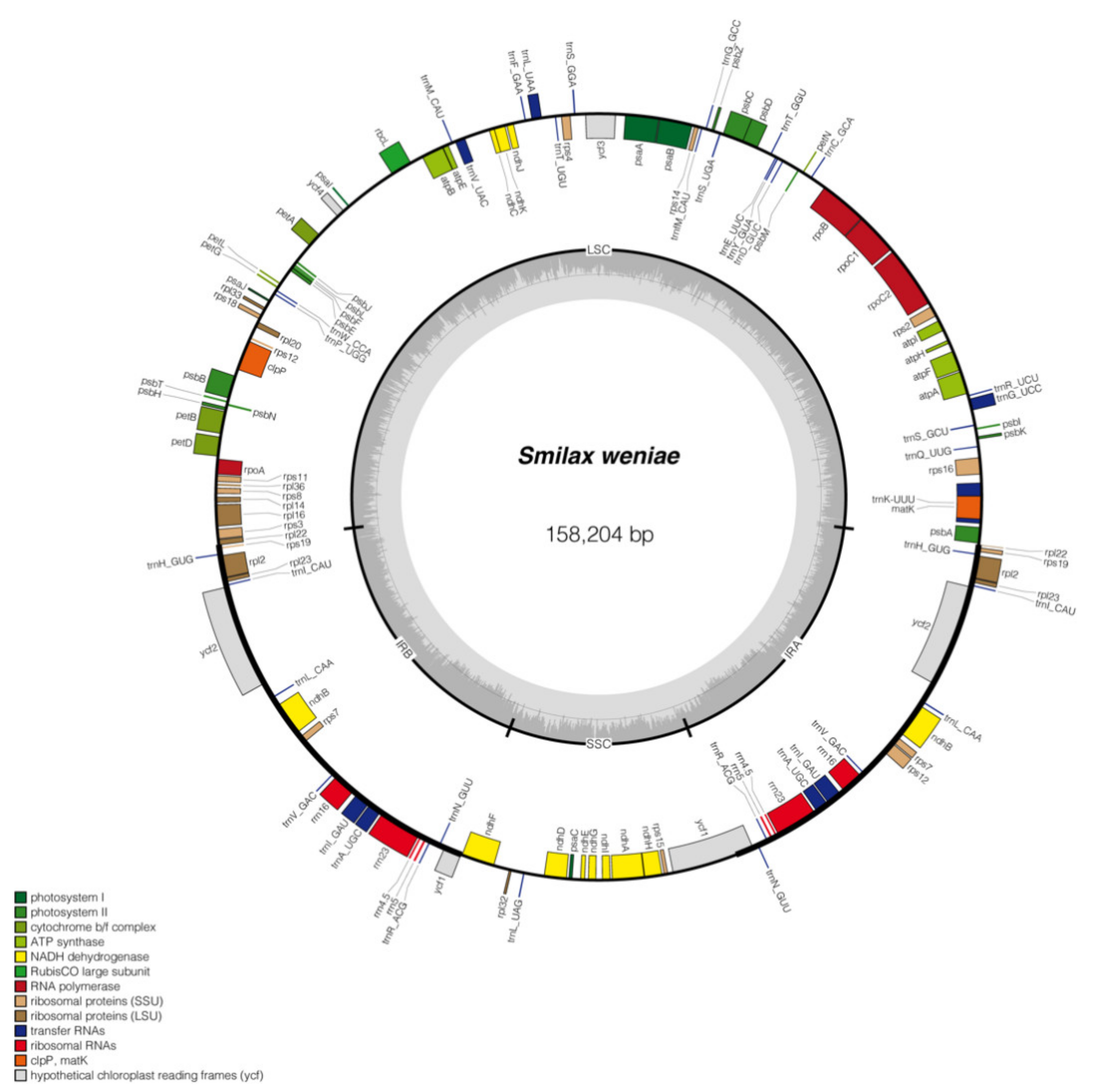 Plants 11 01032 g006