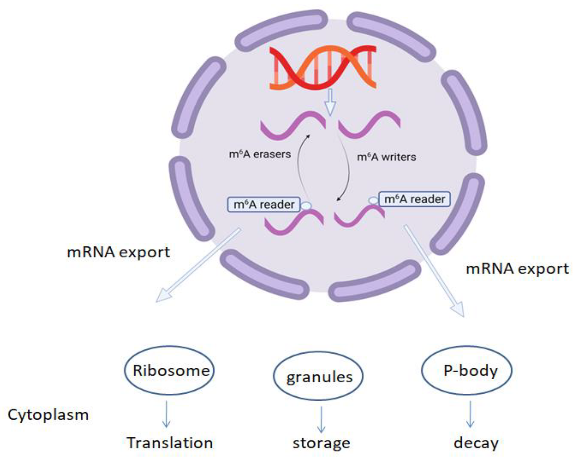 Plants 11 01033 g002