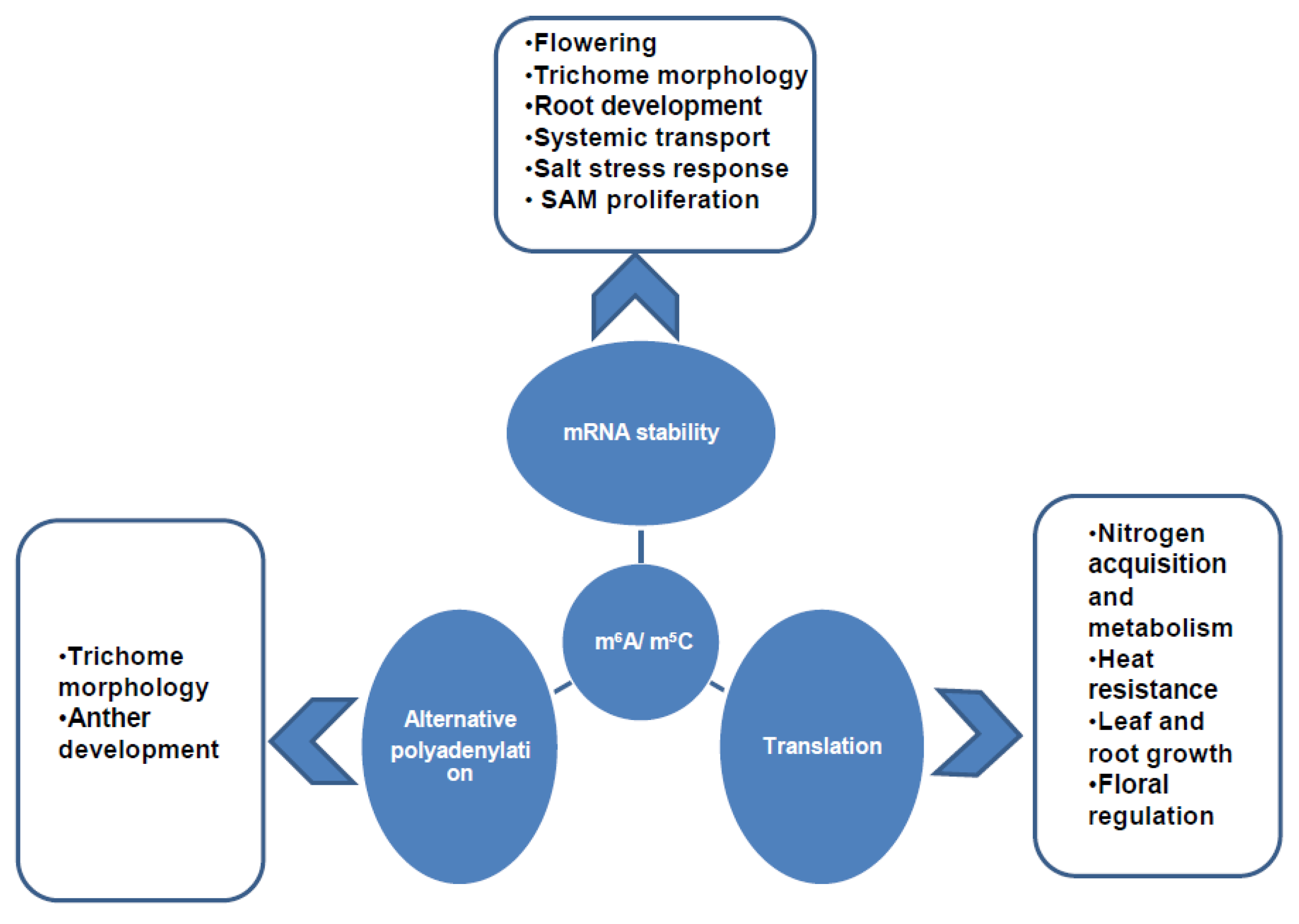Plants 11 01033 g003