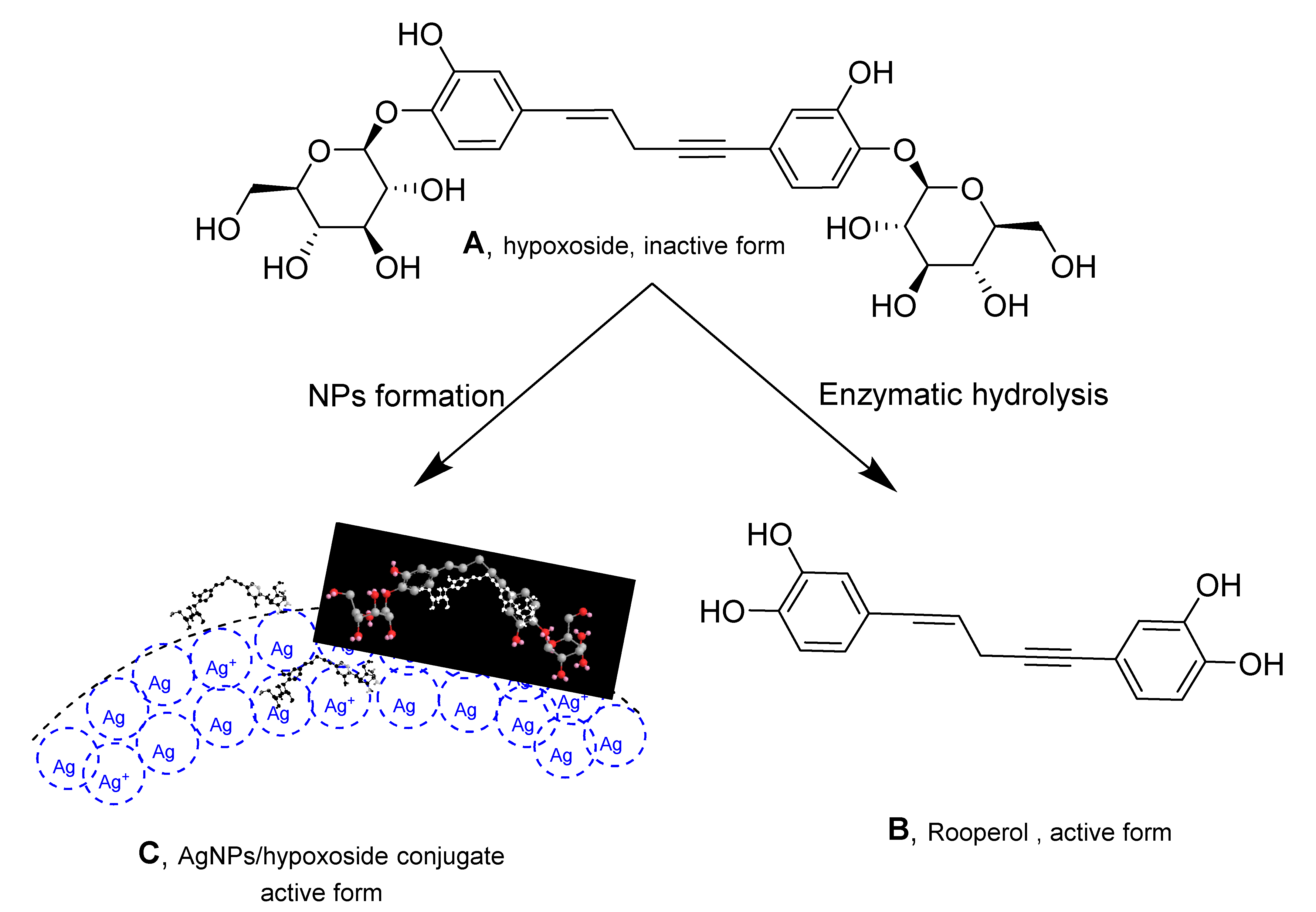 Plants 11 01037 g001