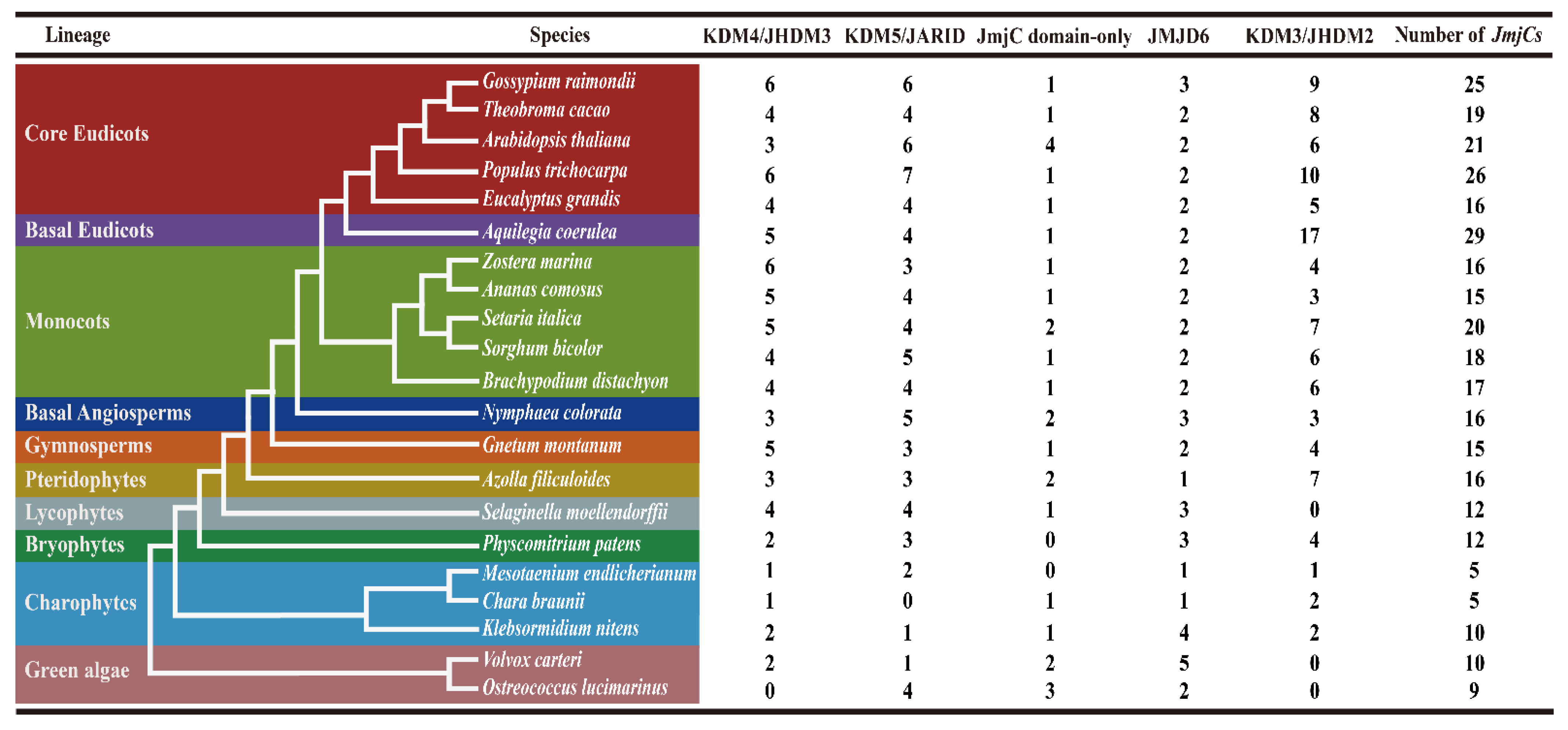 Plants 11 01041 g001