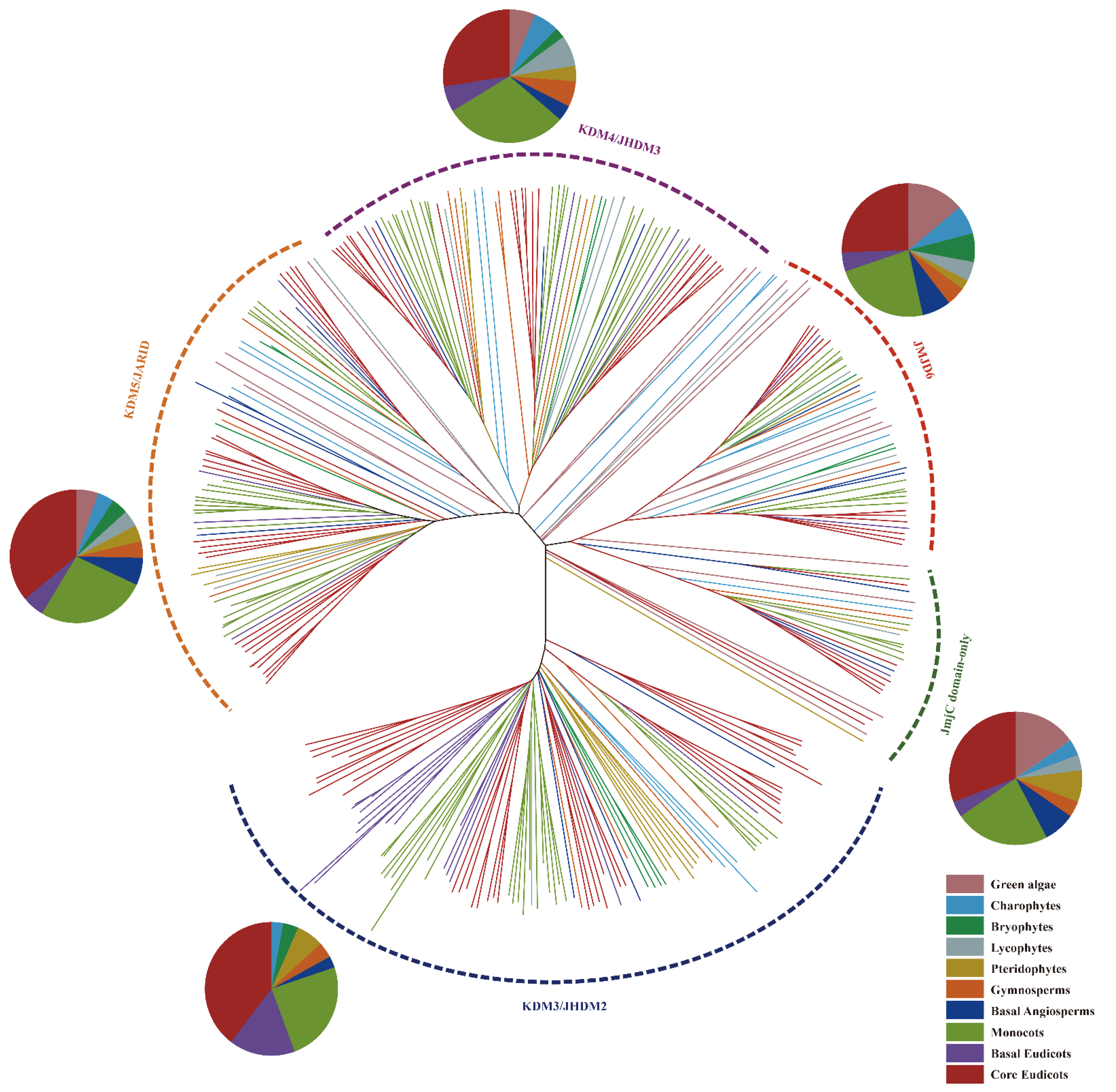 Plants 11 01041 g002