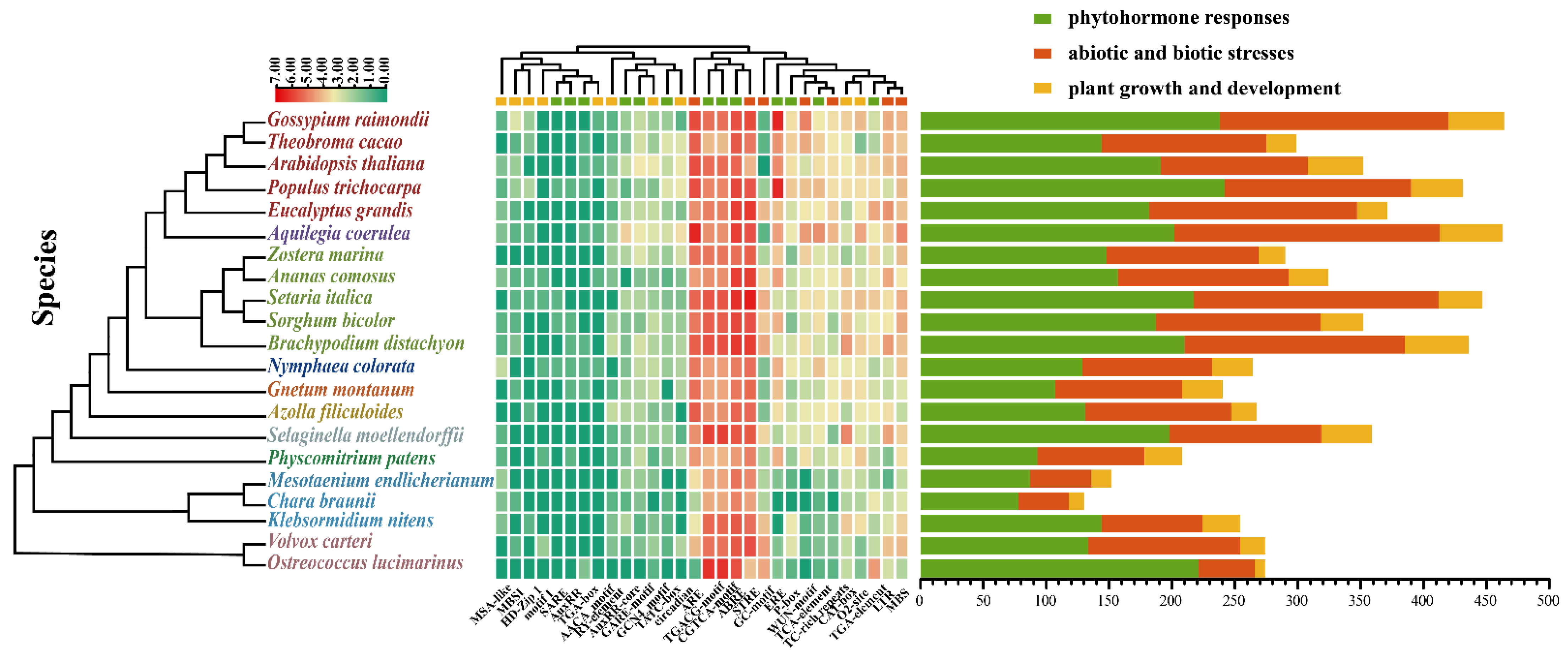 Plants 11 01041 g004