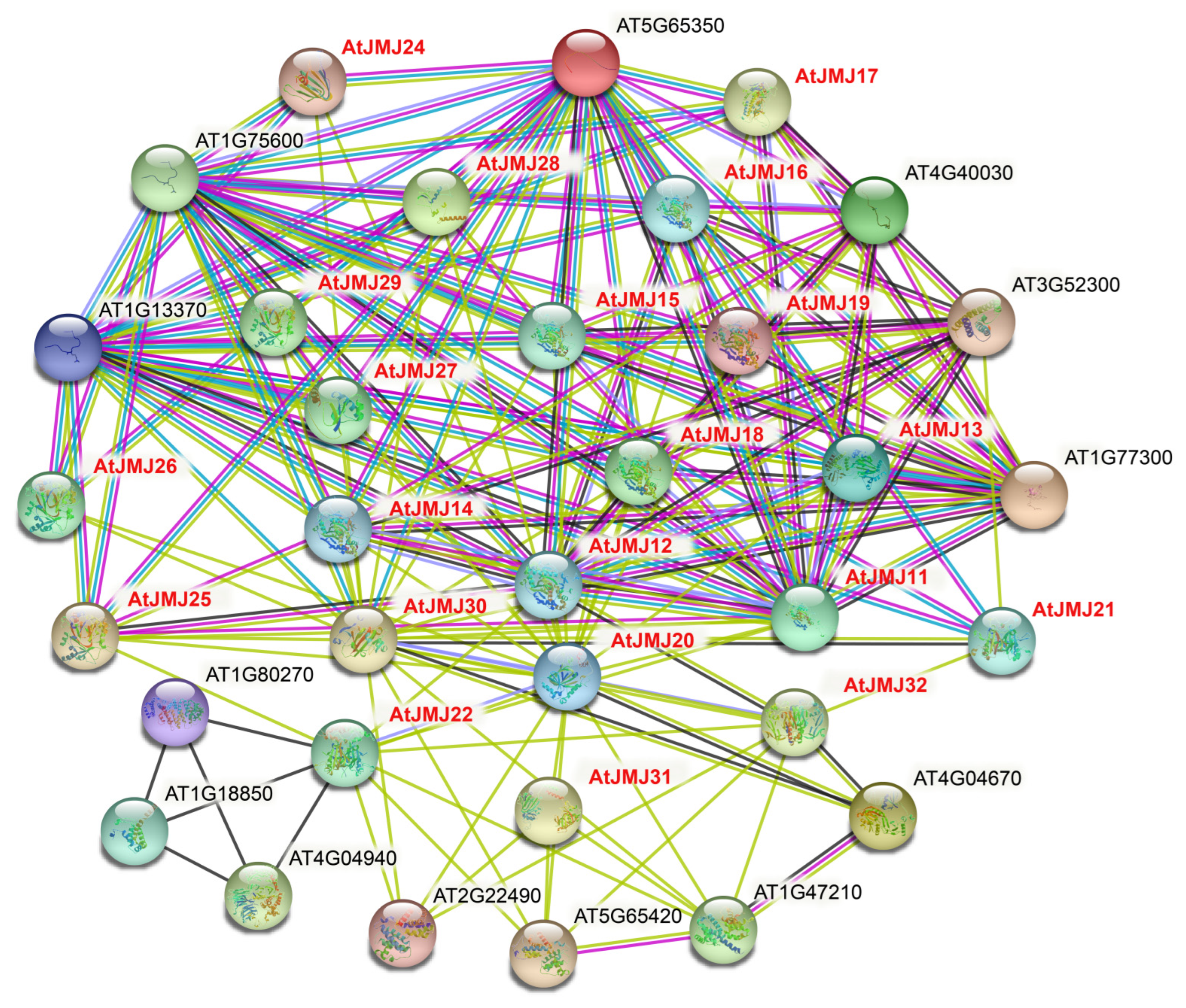 Plants 11 01041 g006