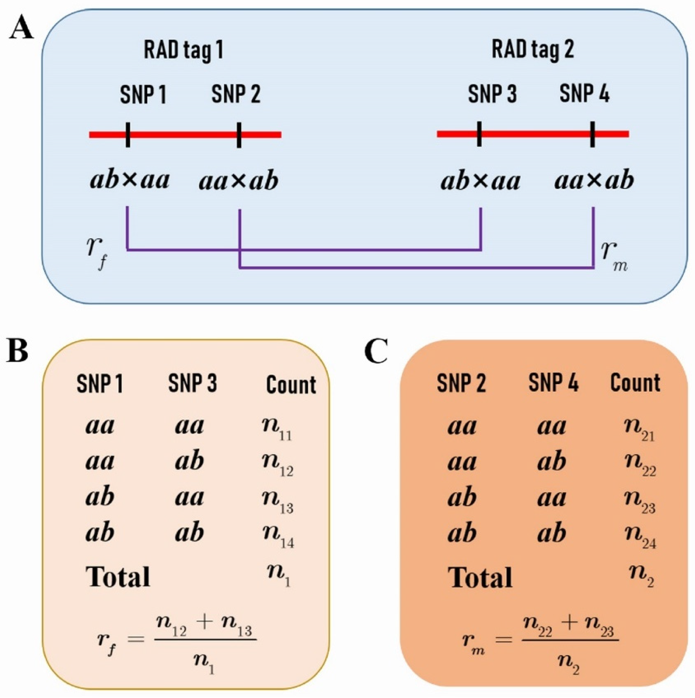 Plants 11 01046 g001