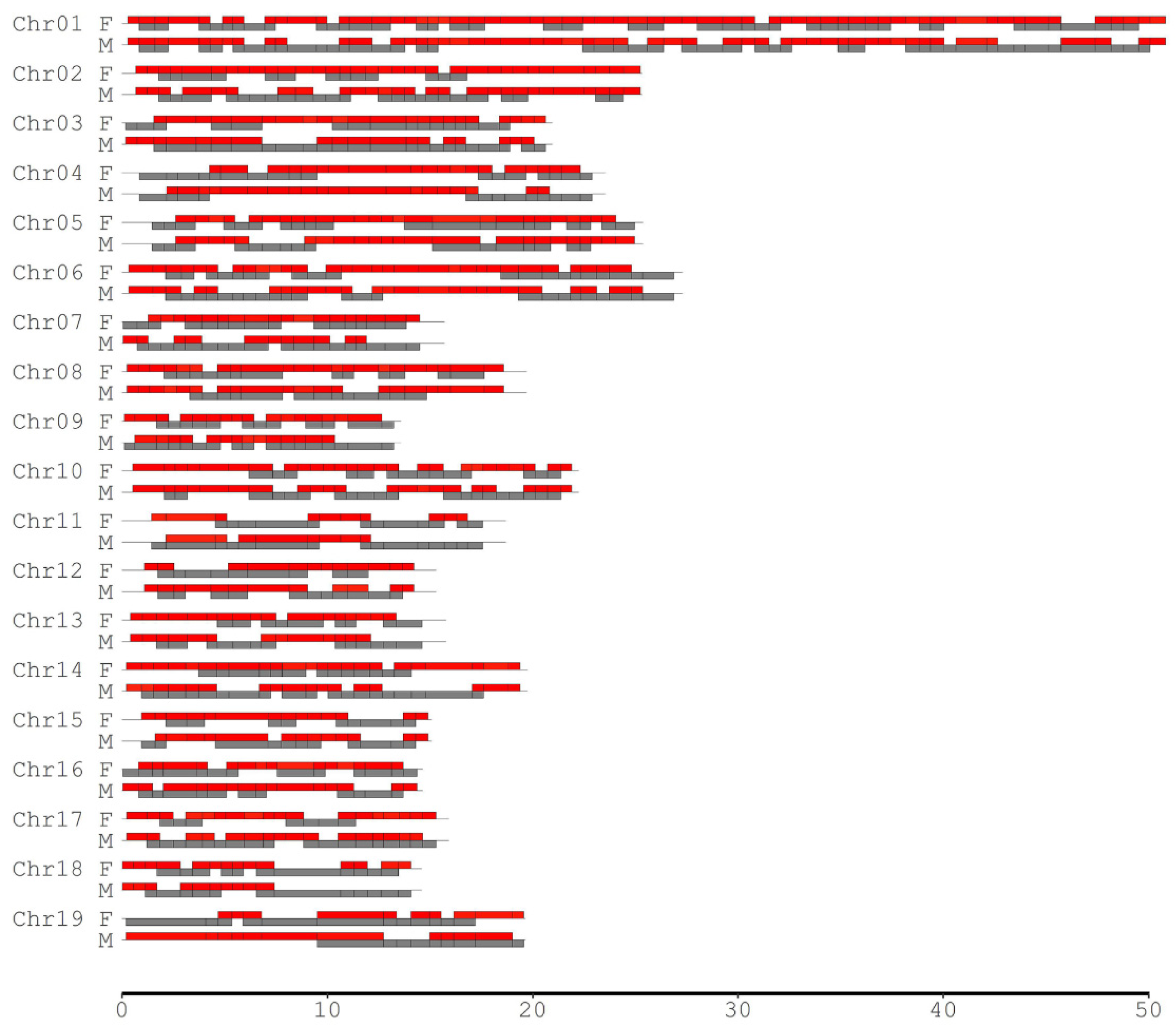 Plants 11 01046 g003