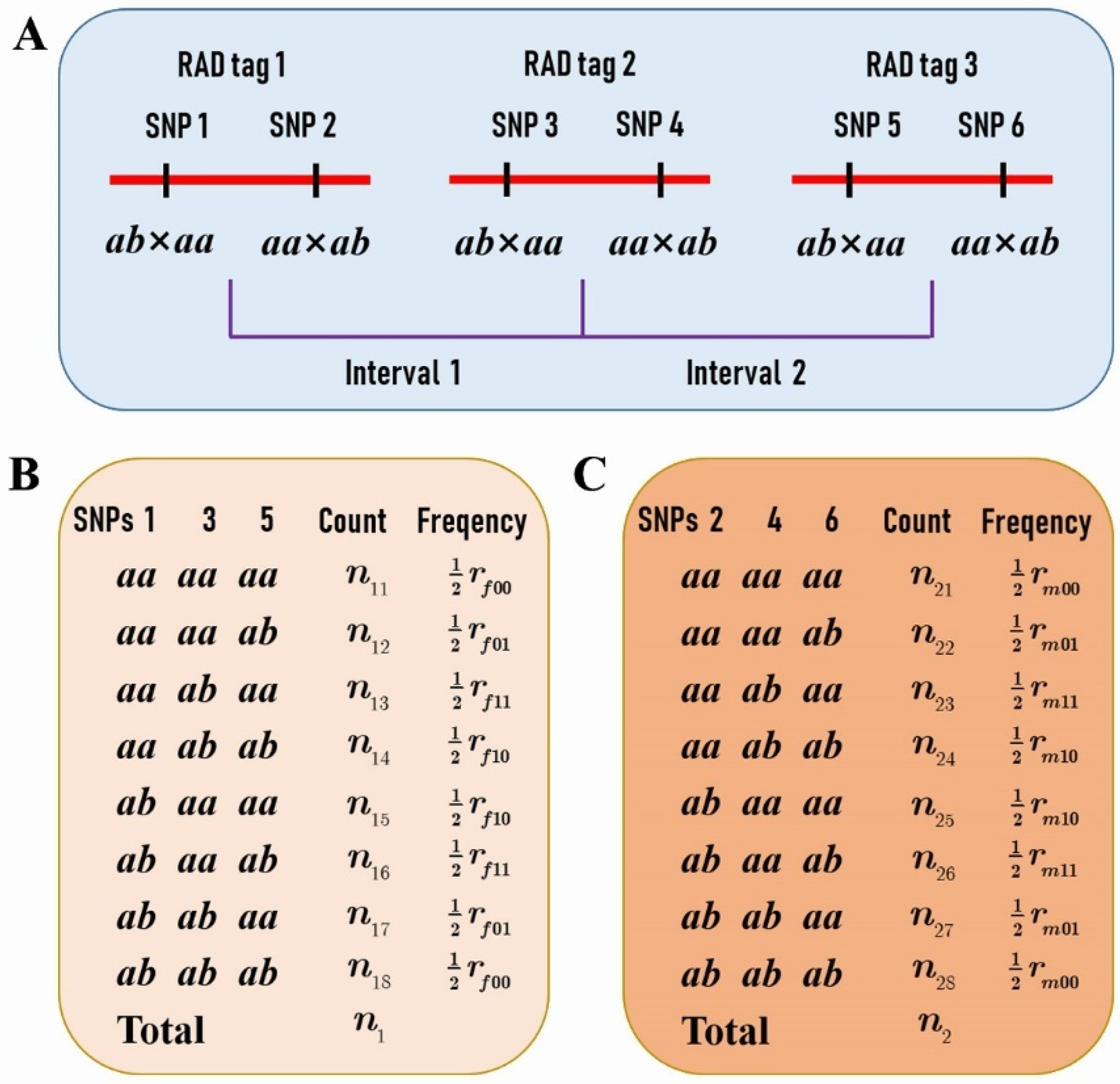 Plants 11 01046 g005
