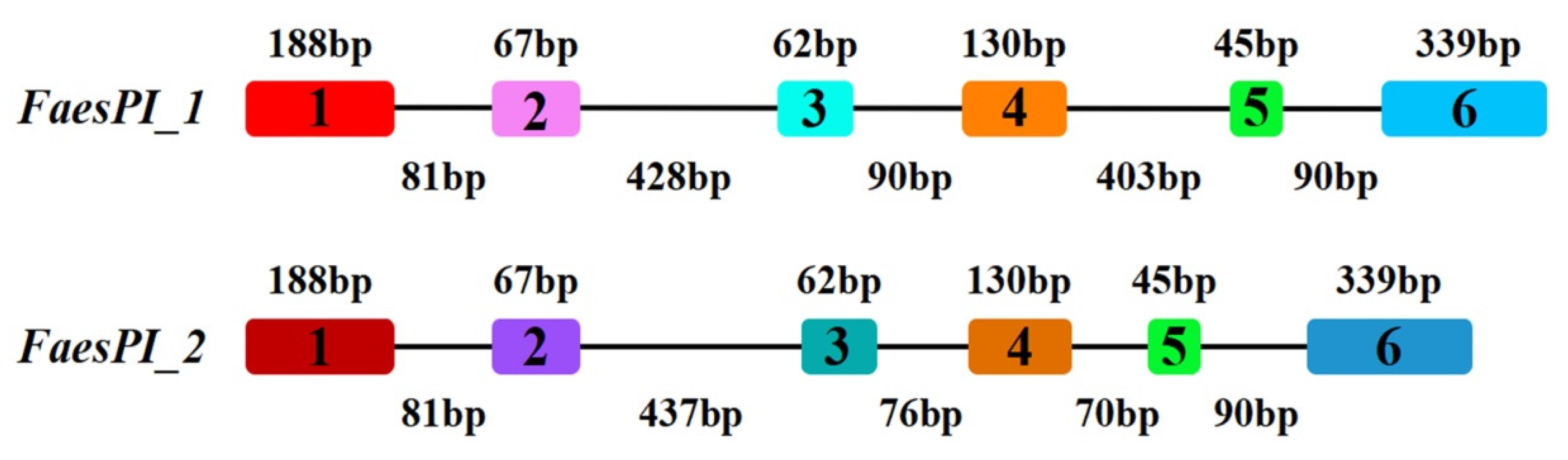 Plants 11 01047 g001