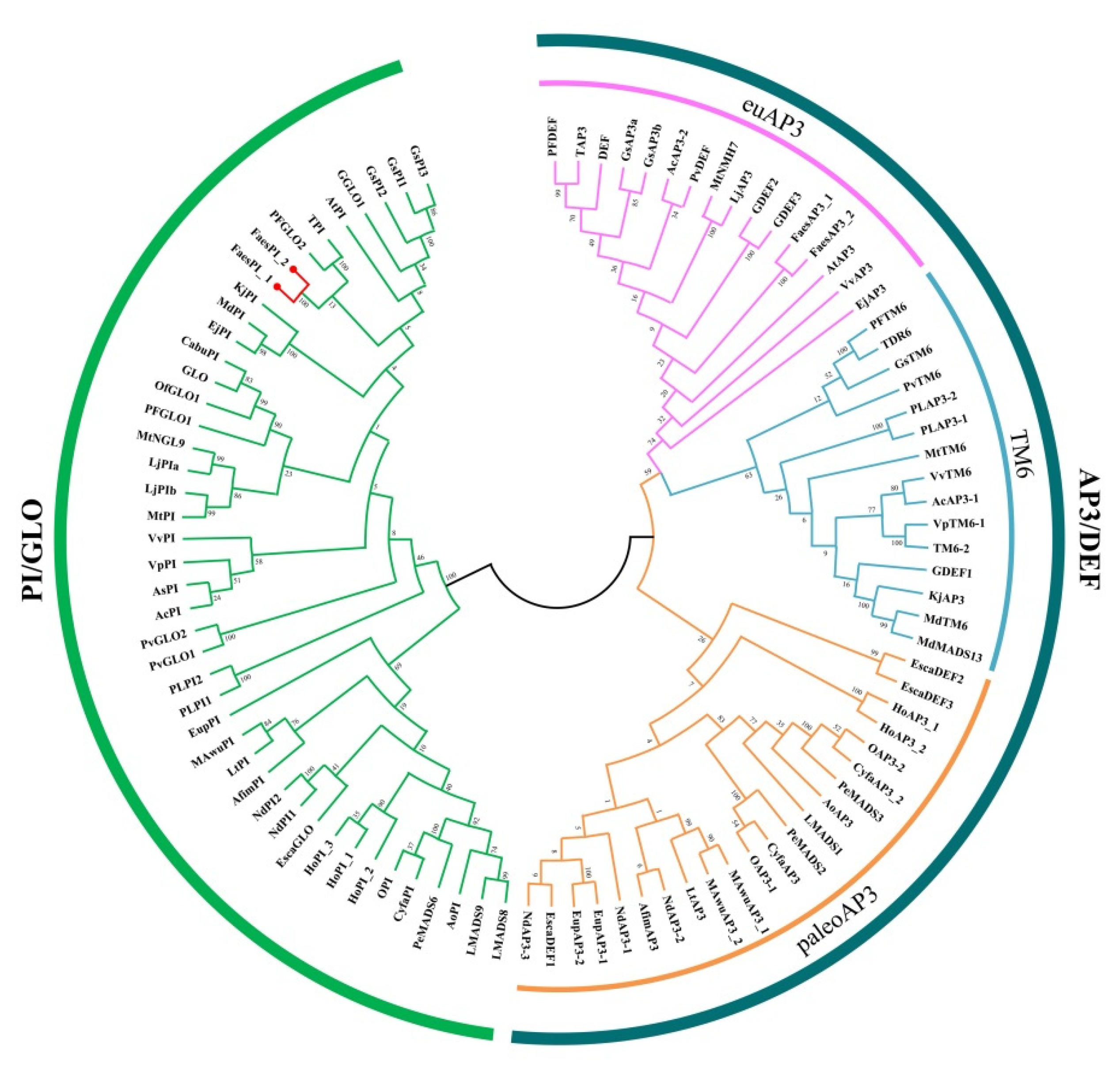 Plants 11 01047 g002