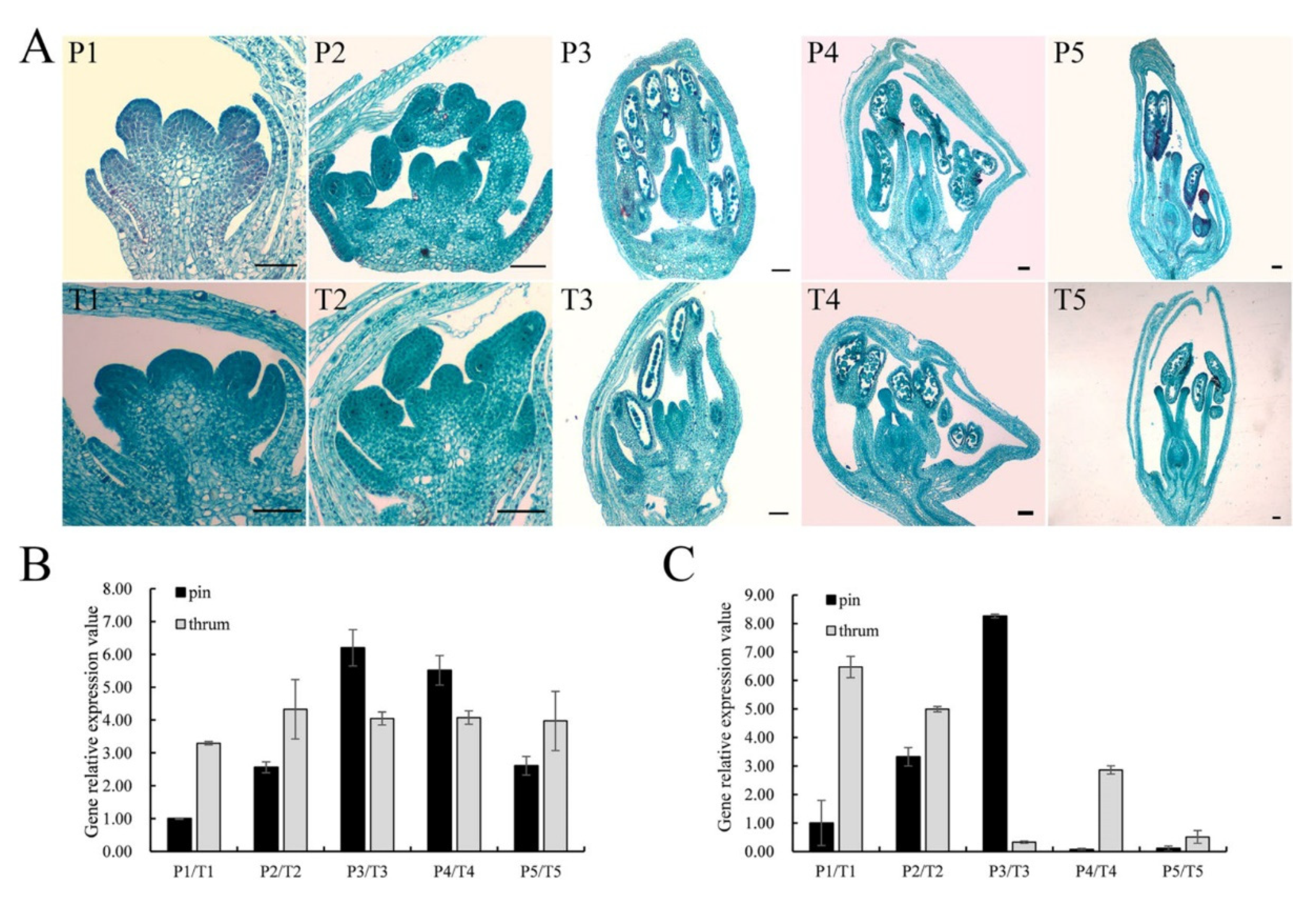 Plants 11 01047 g005