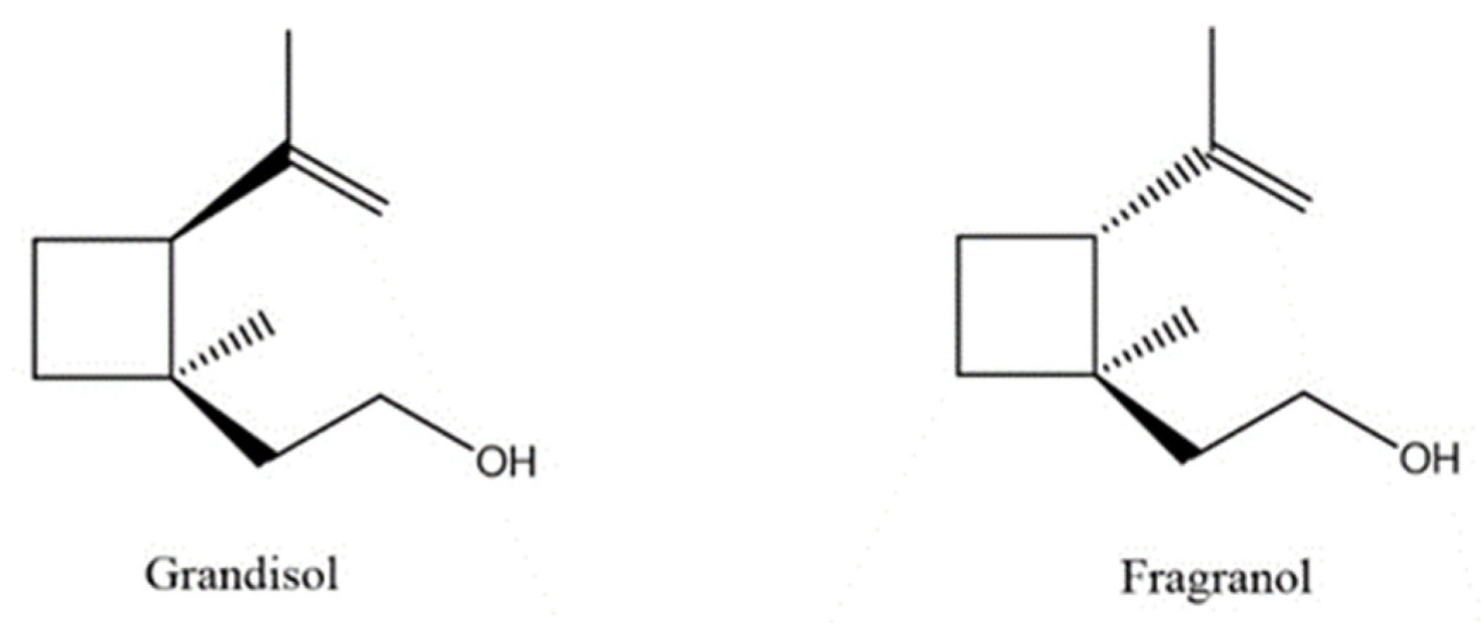 Plants 11 01054 g002