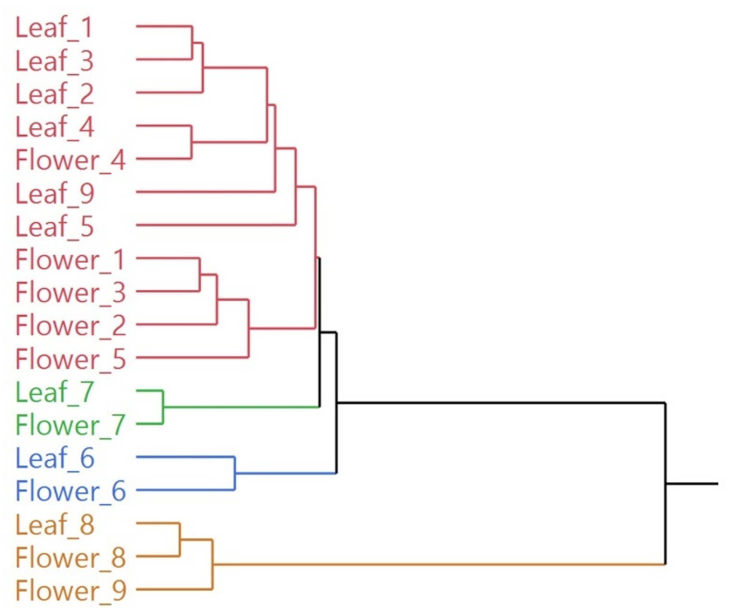 Plants 11 01054 g003
