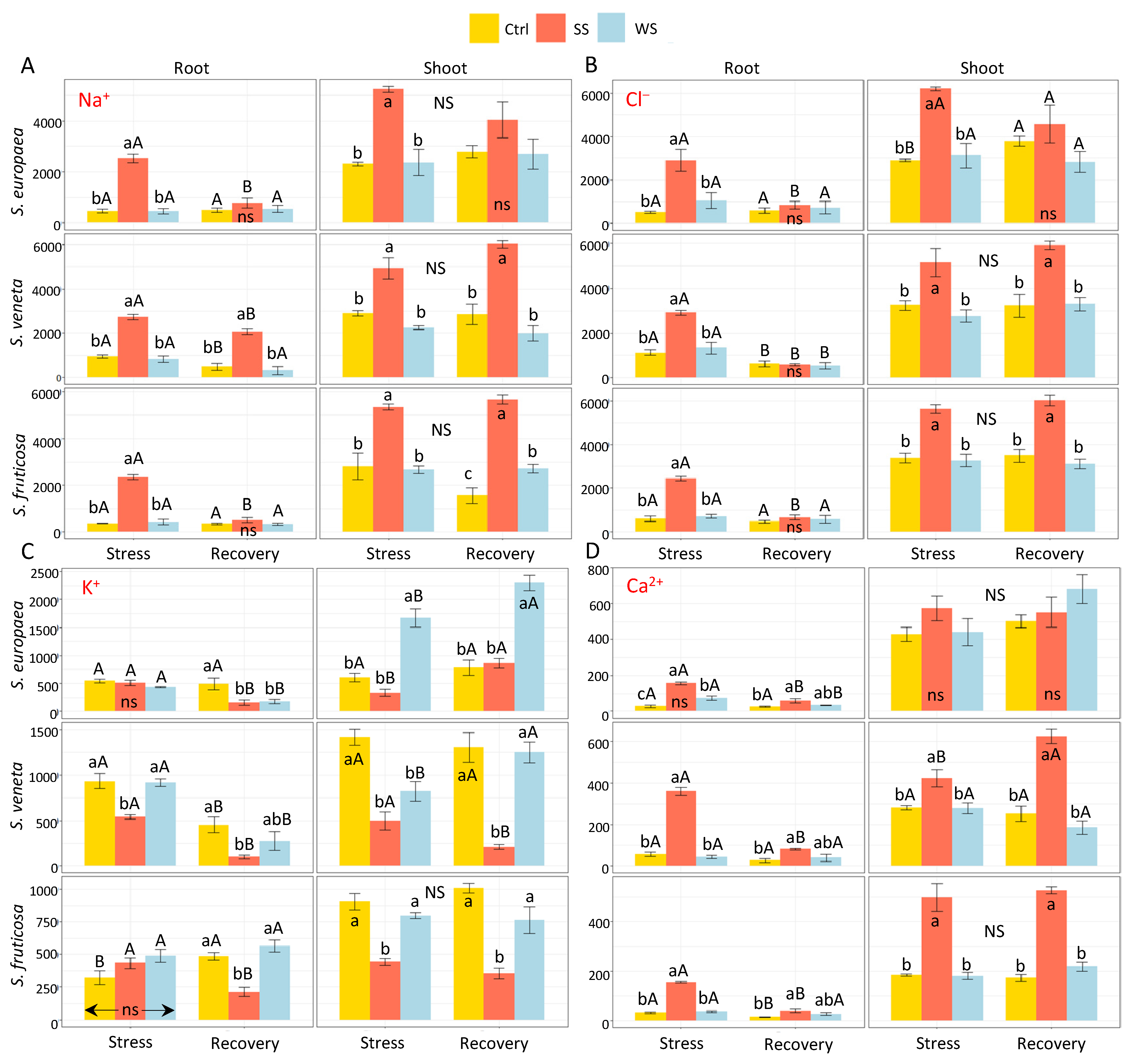 Plants 11 01058 g004