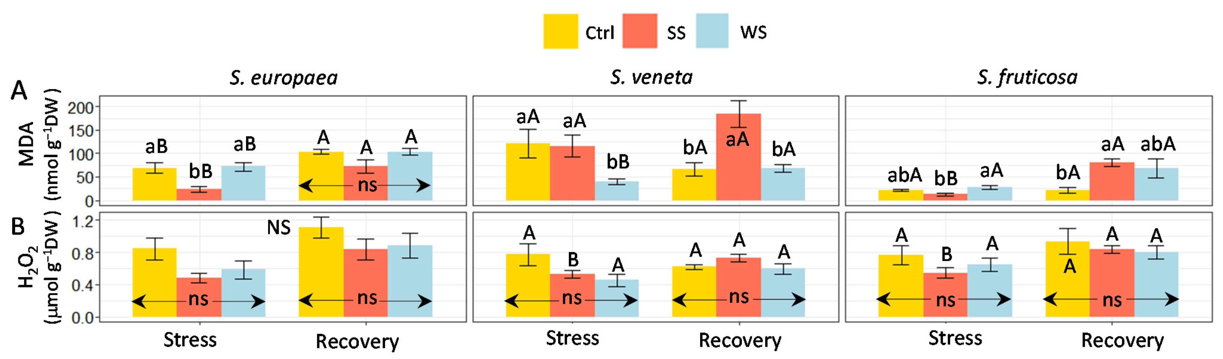 Plants 11 01058 g006