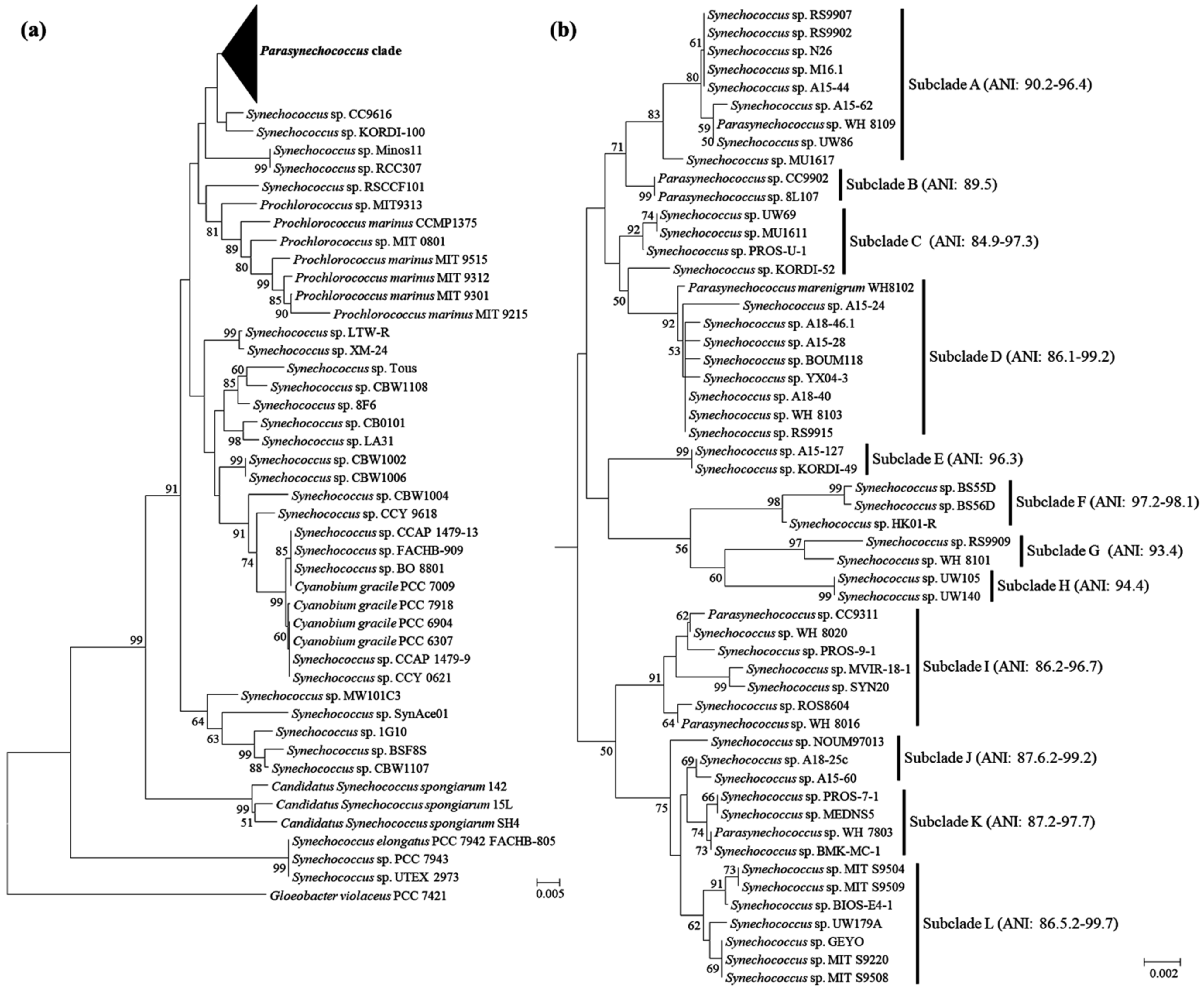 Plants 11 01060 g001