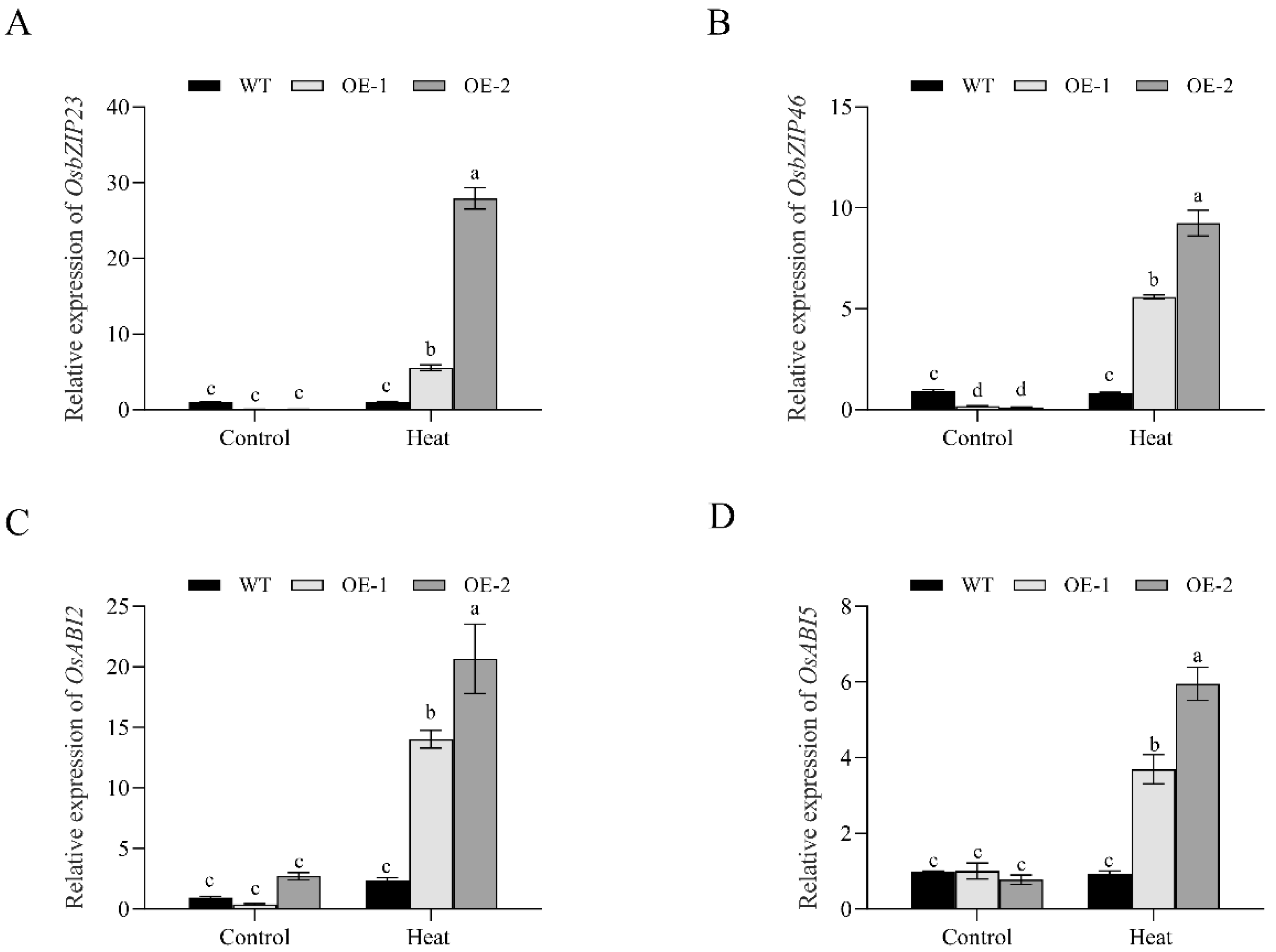 Plants 11 01062 g008