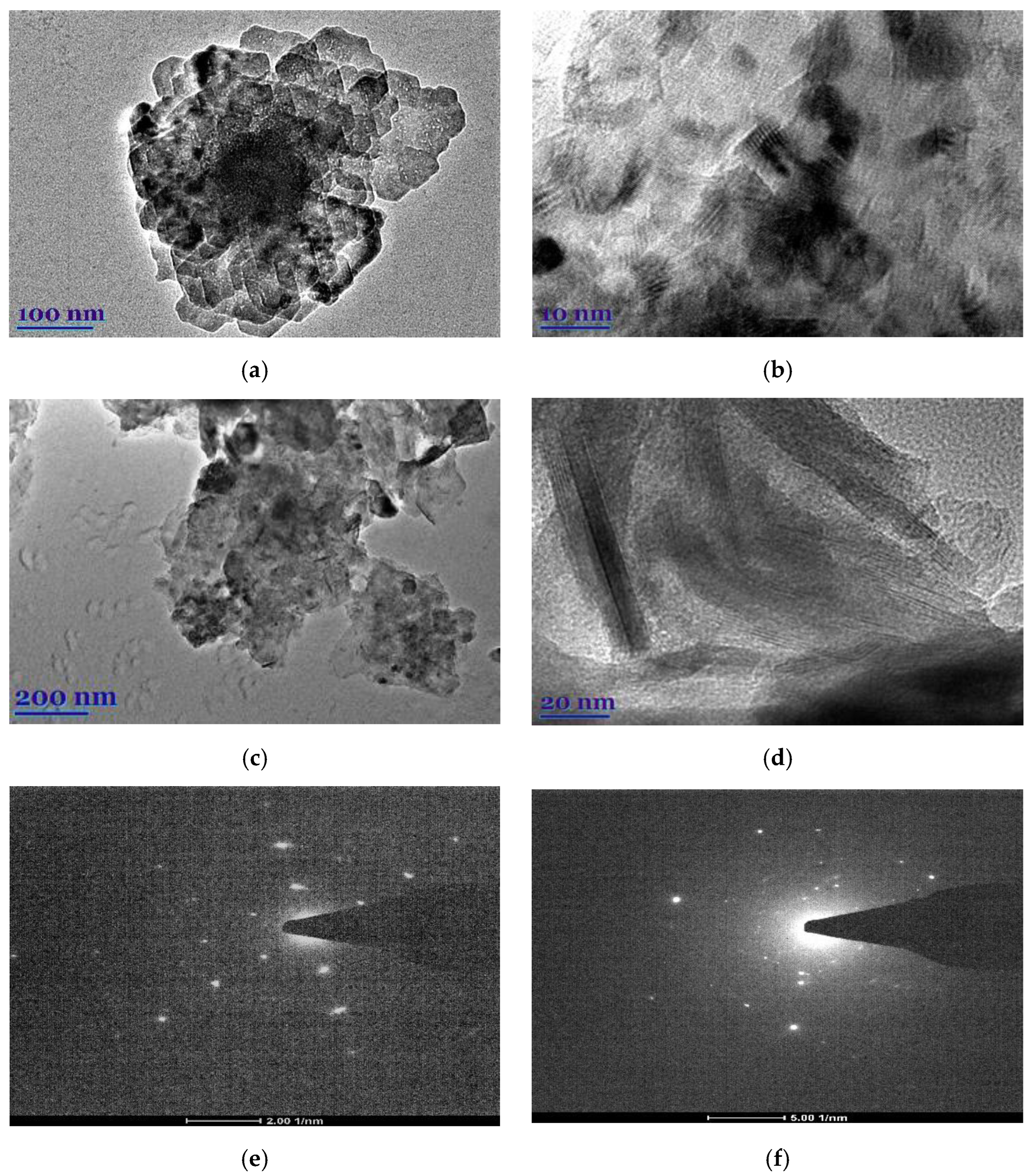 Plants 11 01085 g001