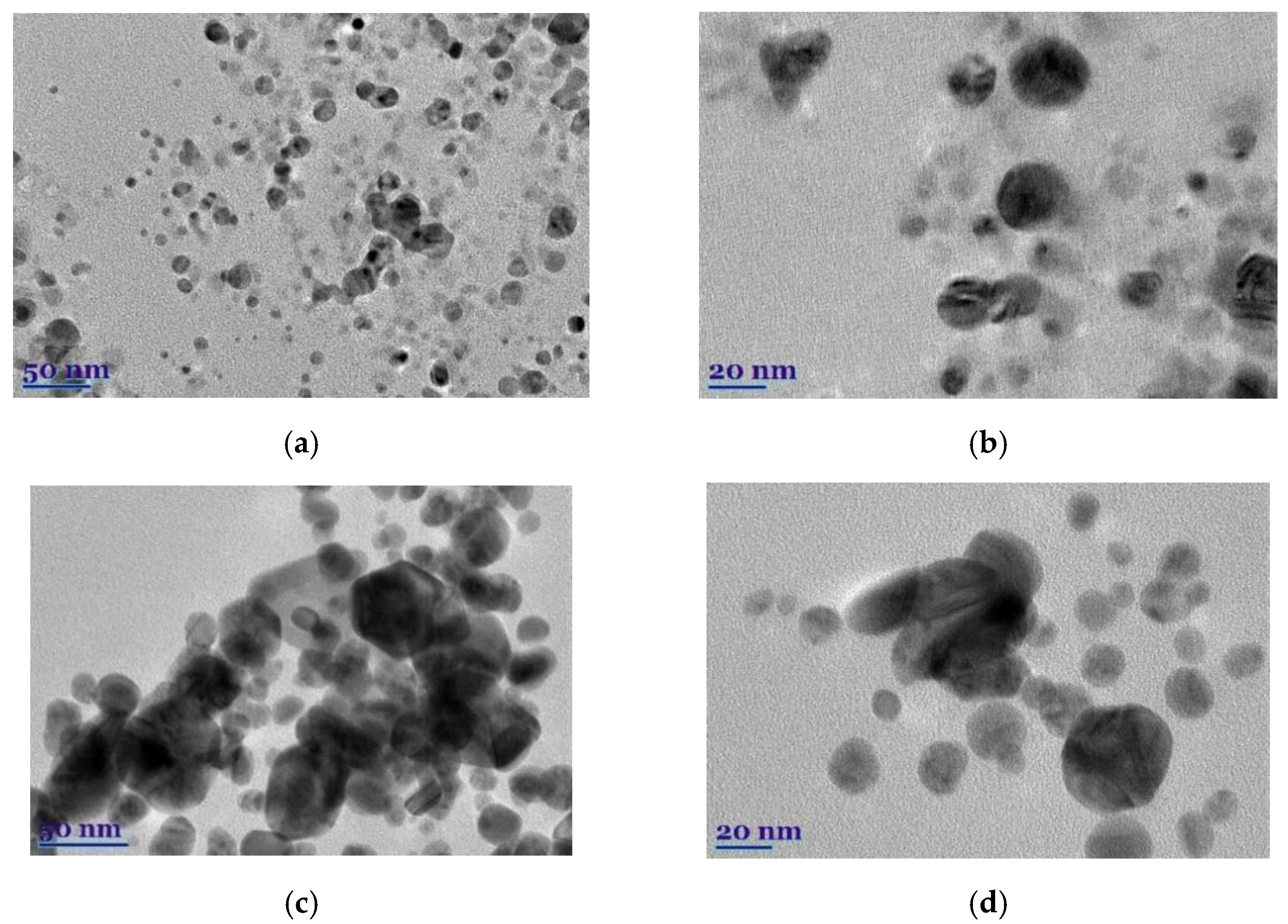 Plants 11 01085 g005a