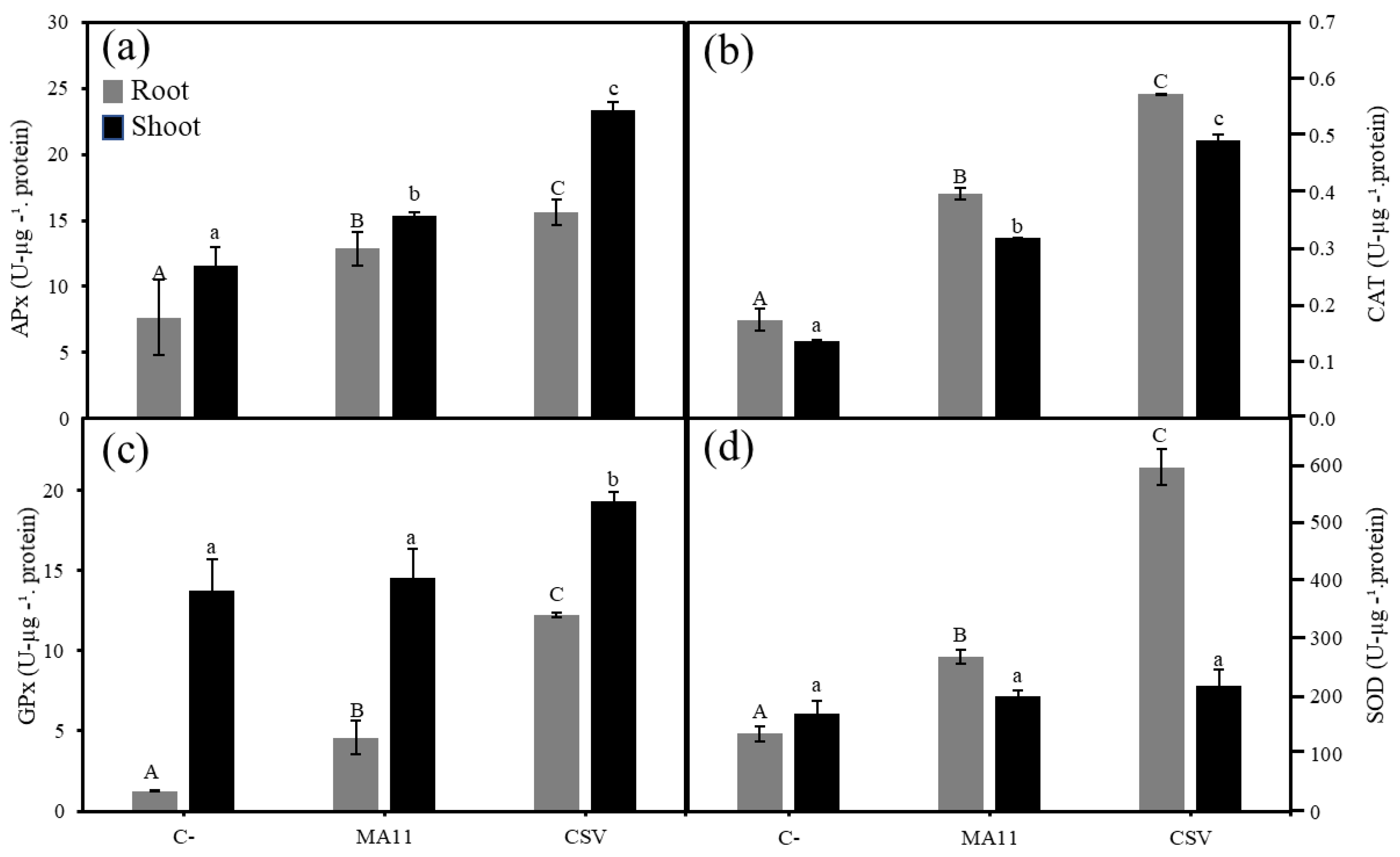 Plants 11 01091 g008