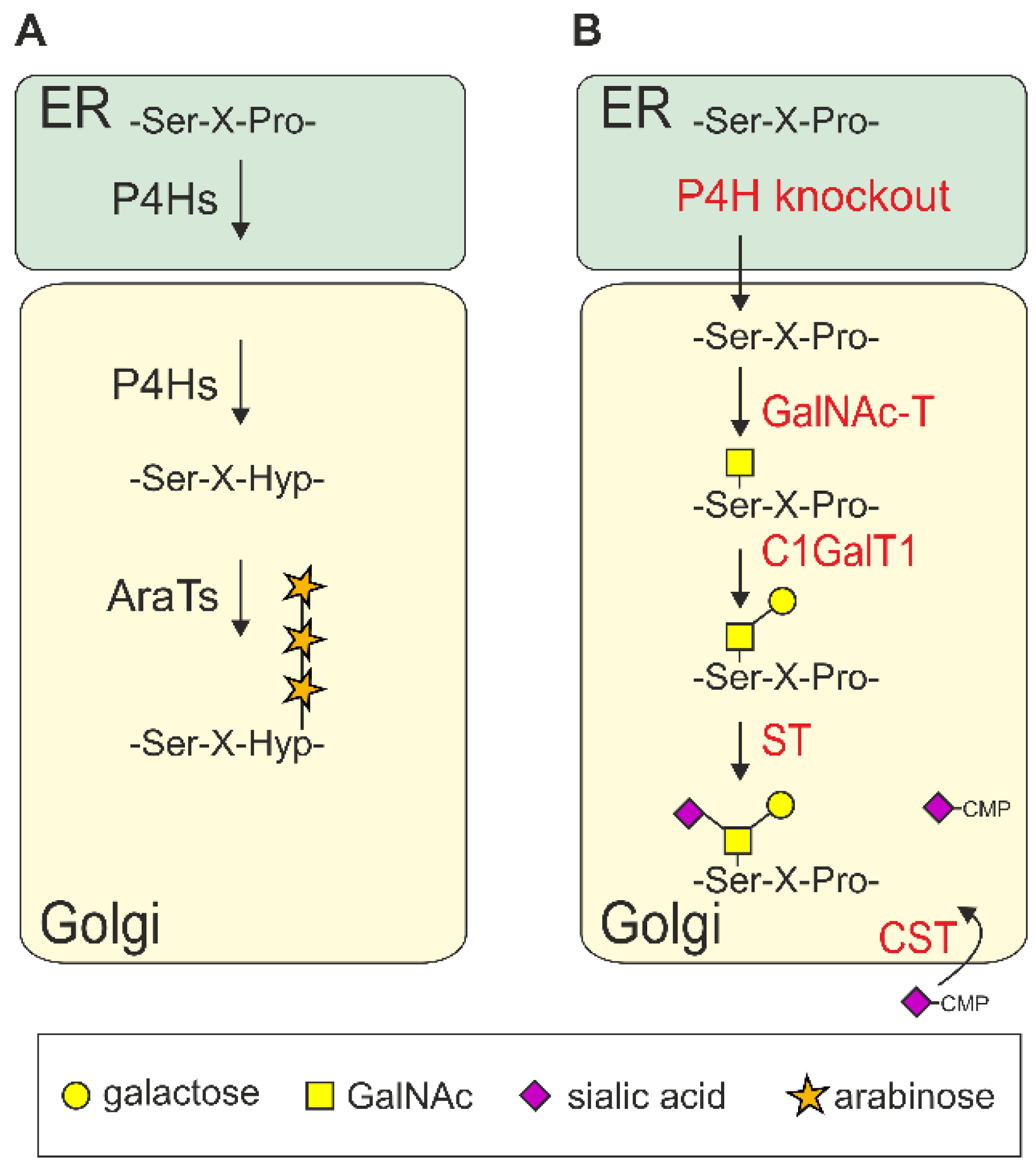 Plants 11 01093 g003