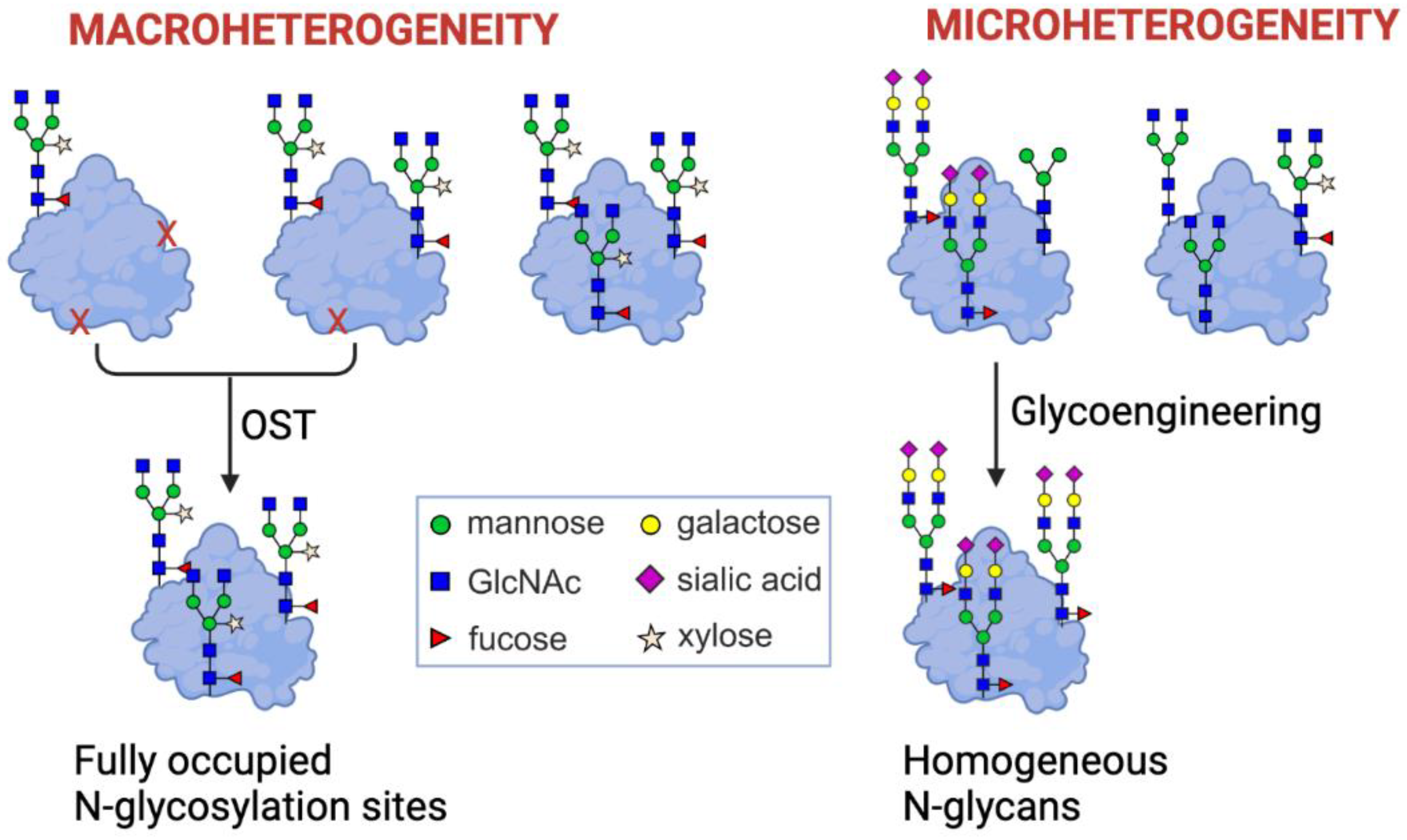 Plants 11 01093 g004