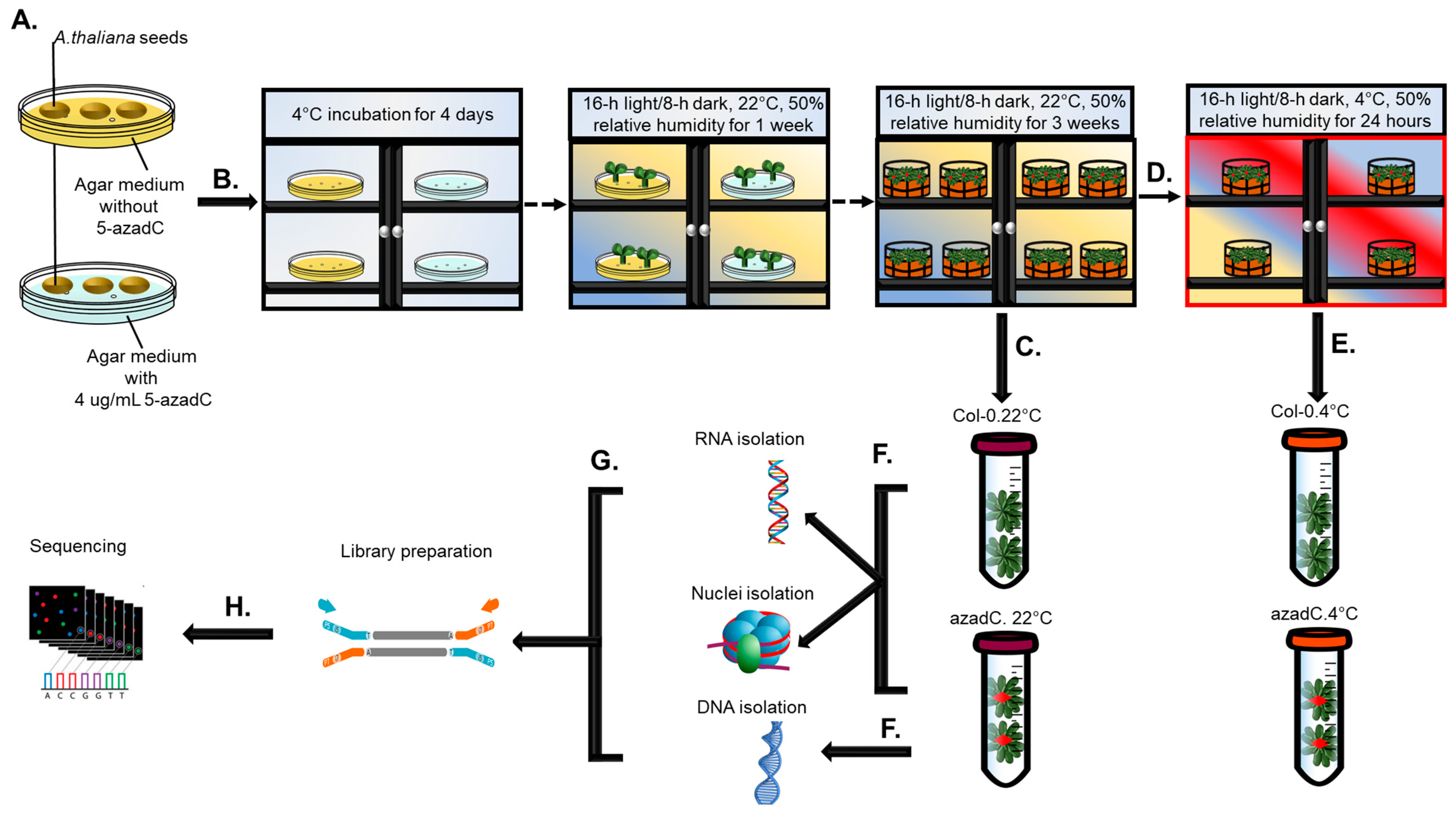 Plants 11 01105 g001