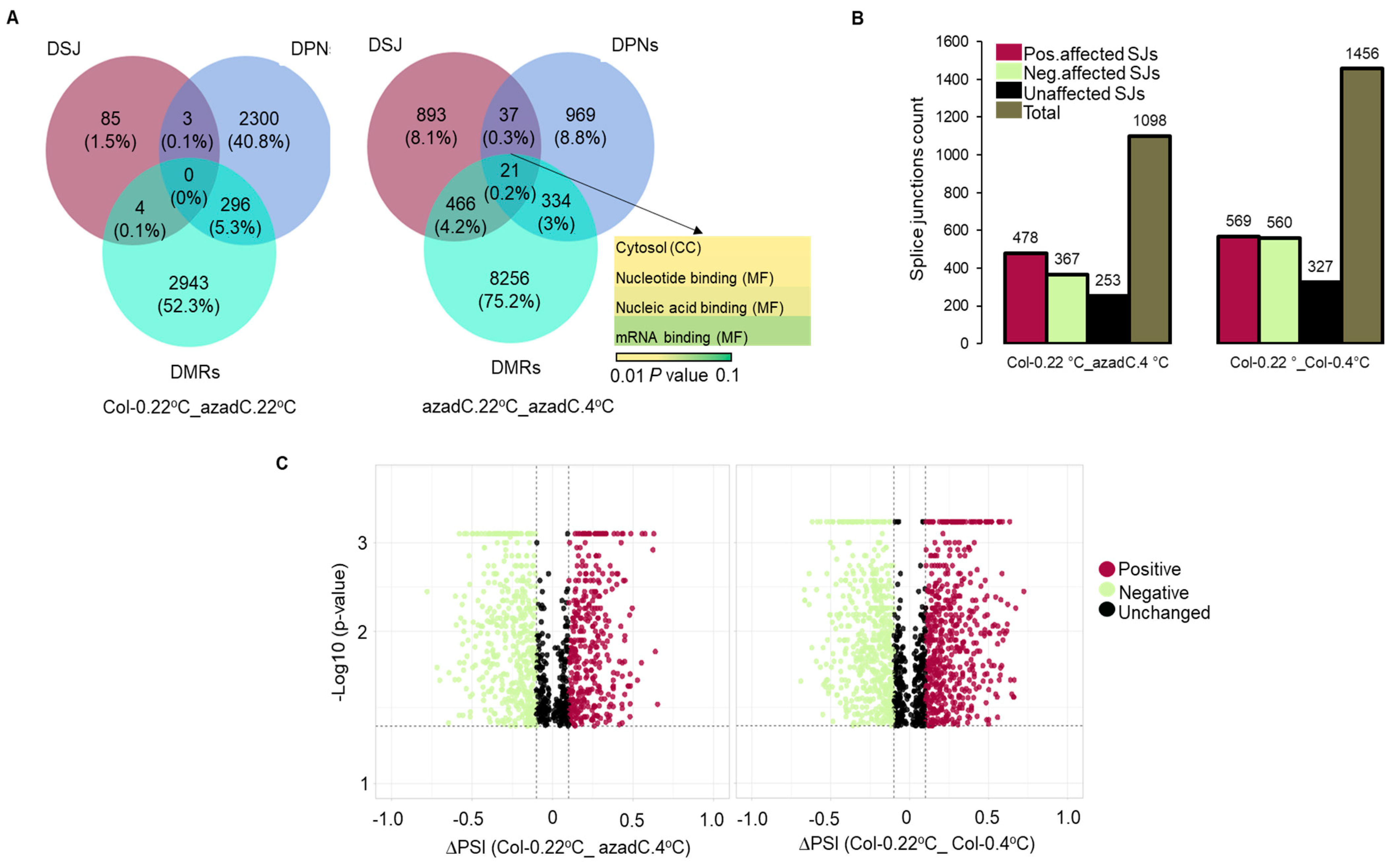 Plants 11 01105 g006