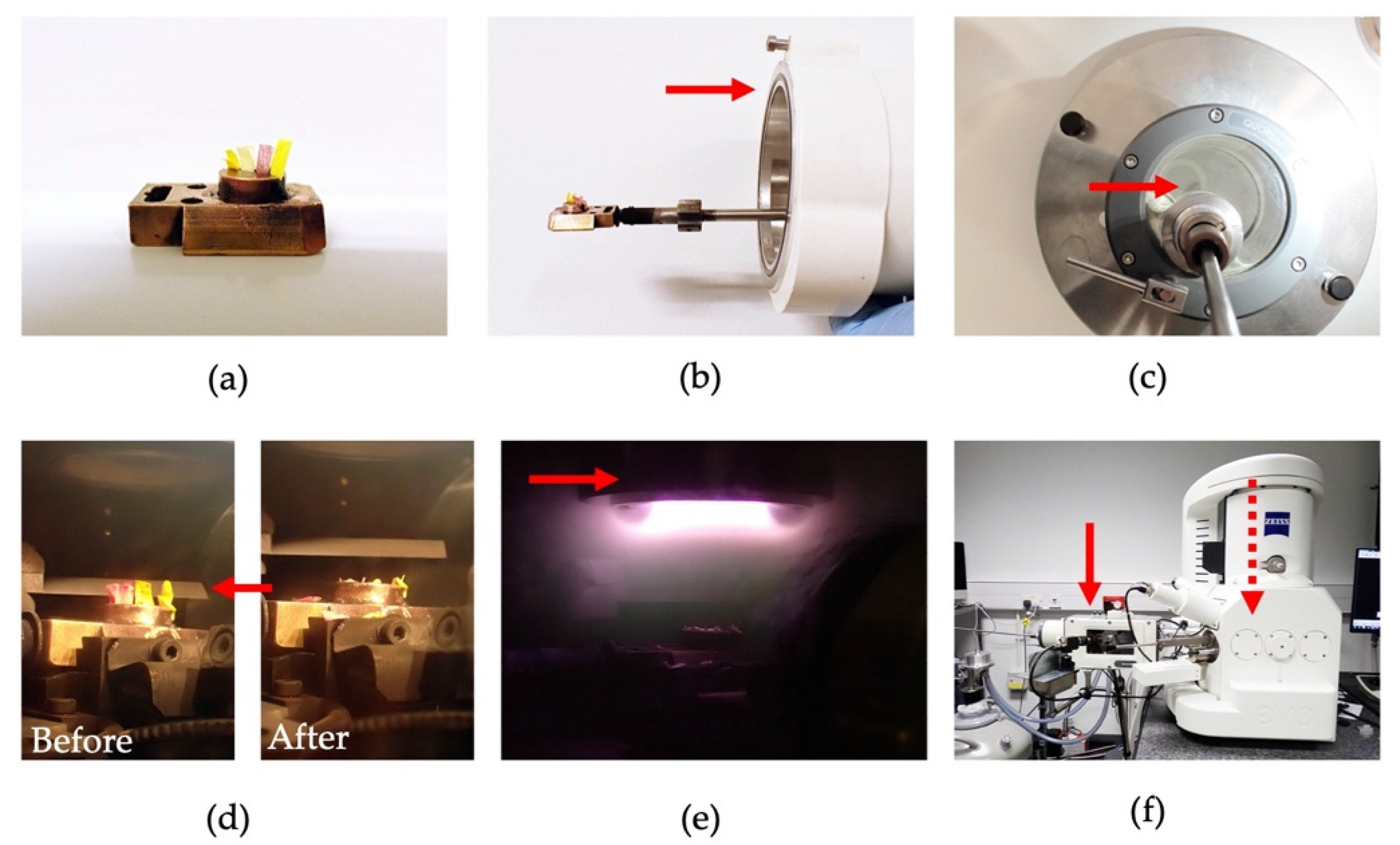 Plants 11 01113 g002