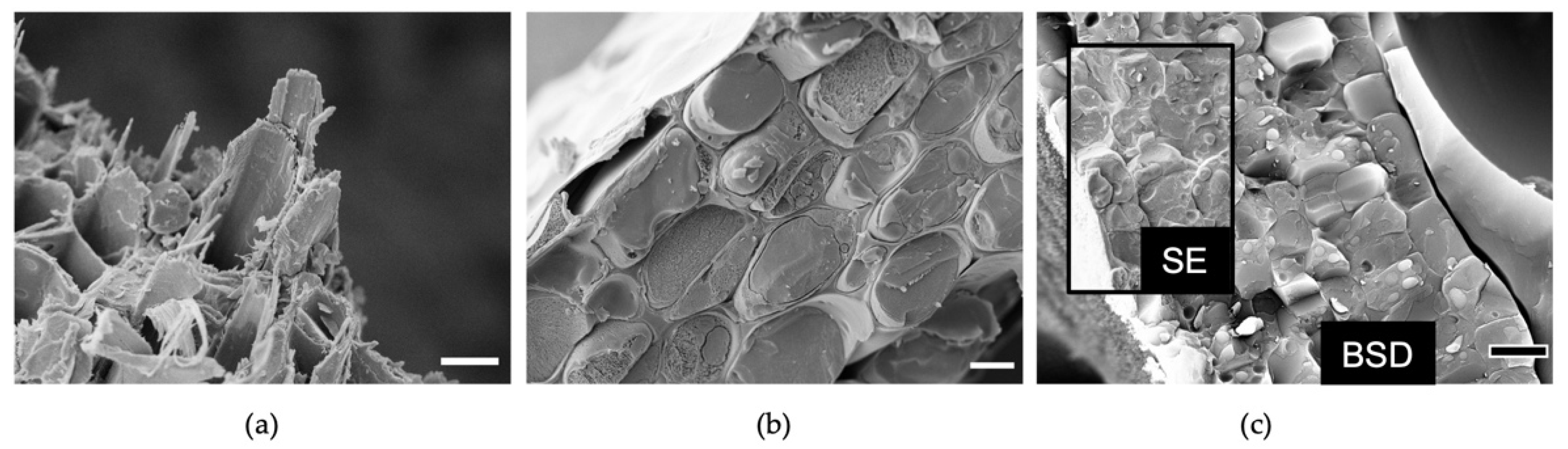 Plants 11 01113 g003