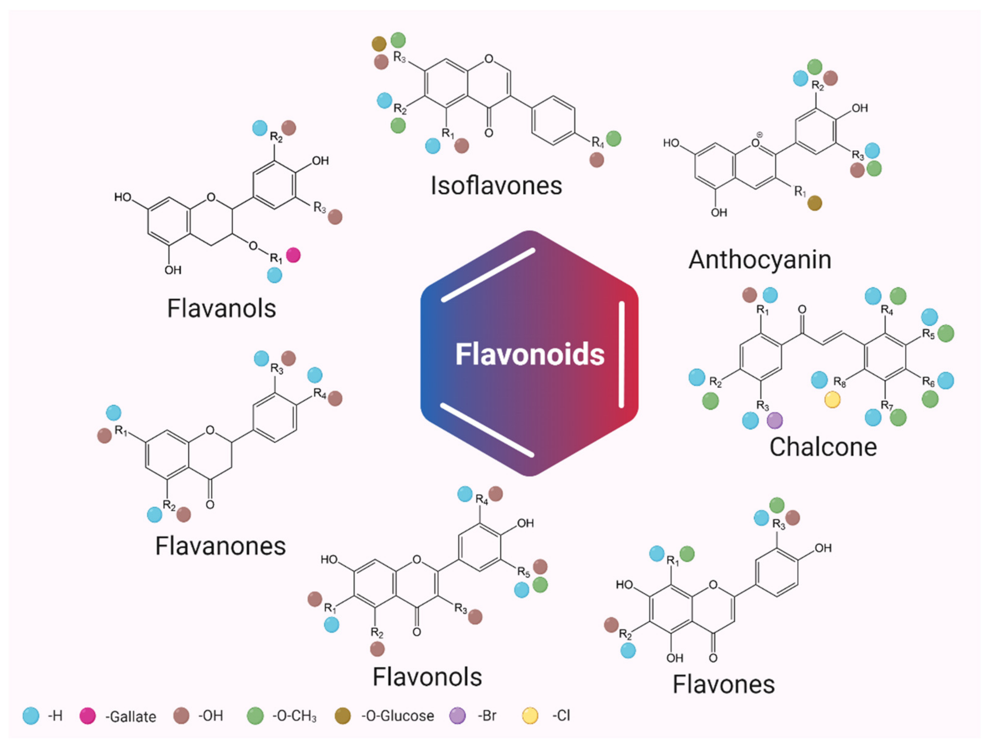 Plants 11 01117 g001