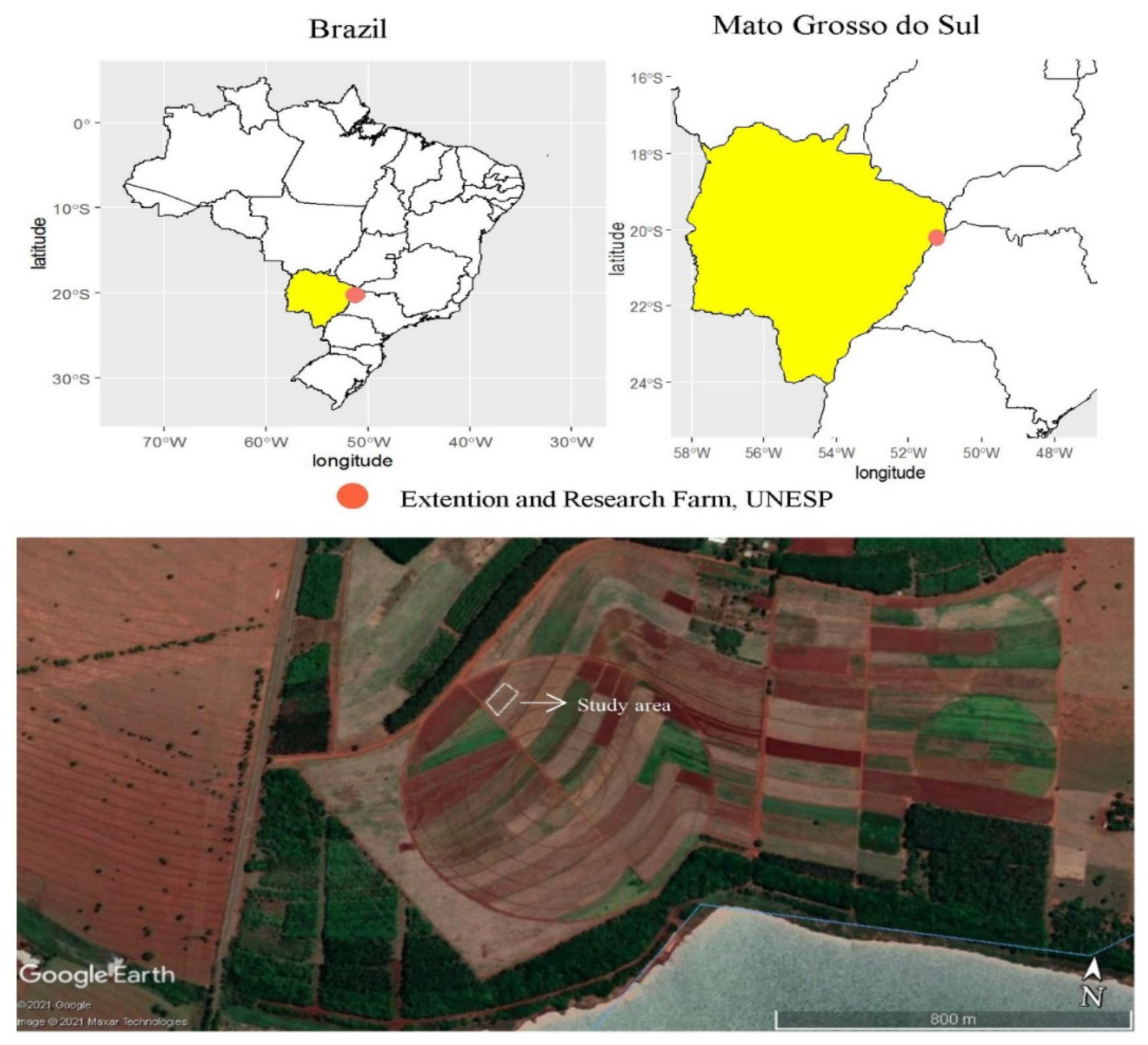 Plants 11 01125 g004