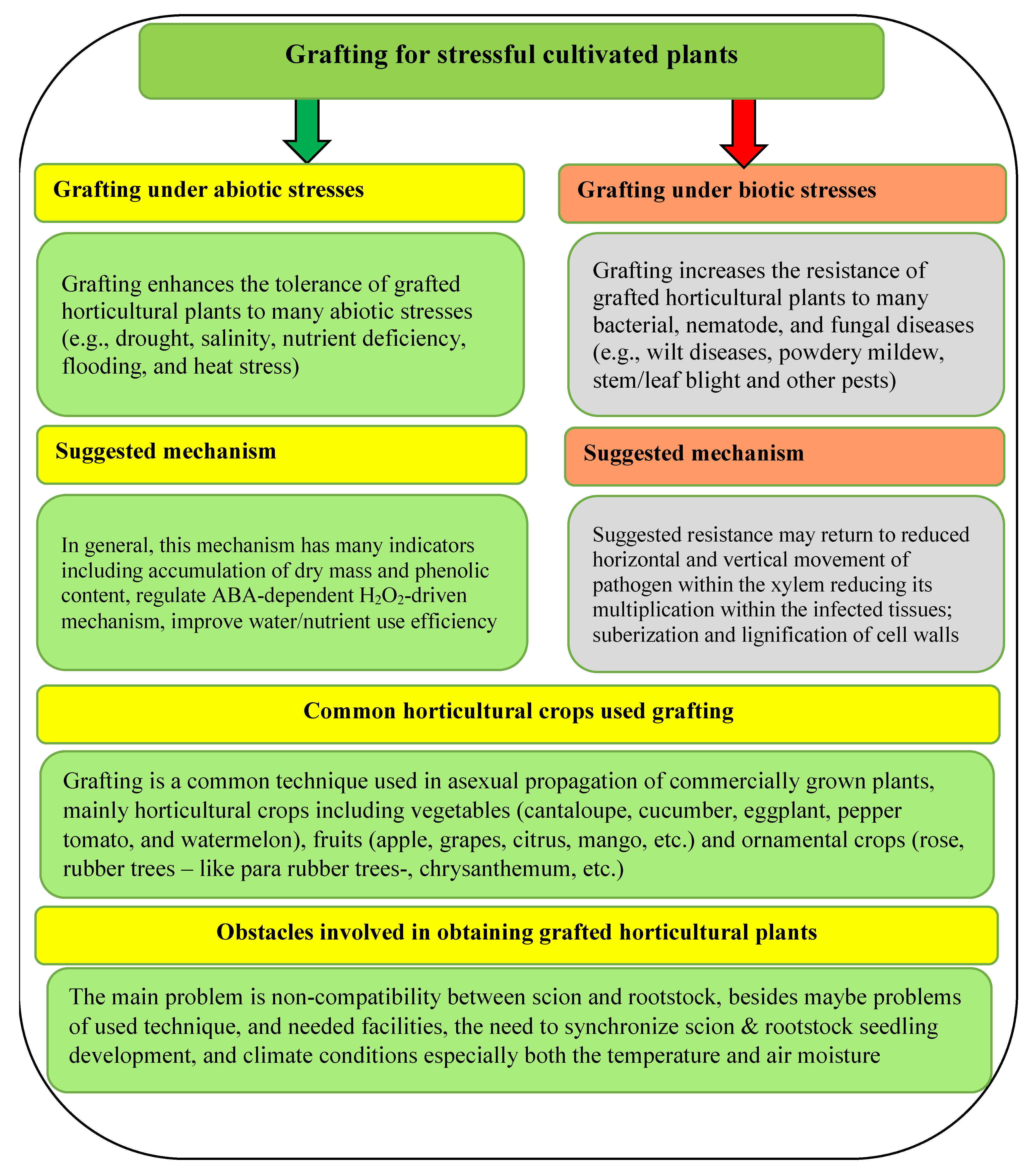 Plants 11 01147 g005