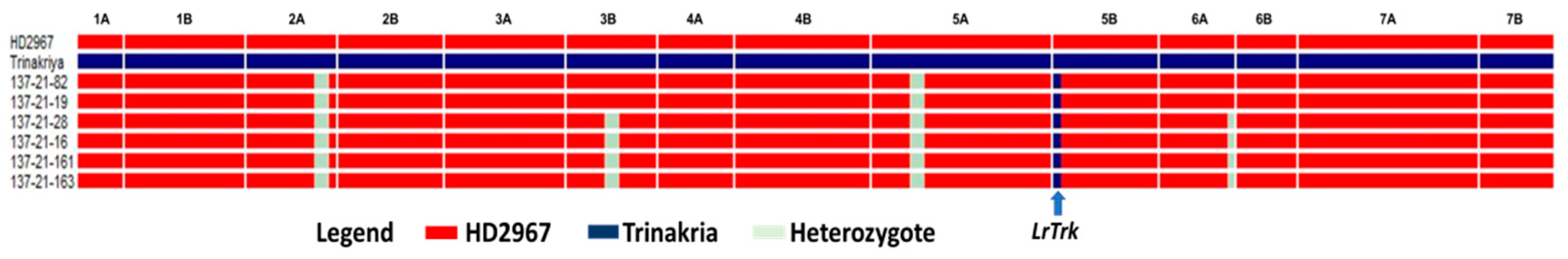 Plants 11 01152 g004