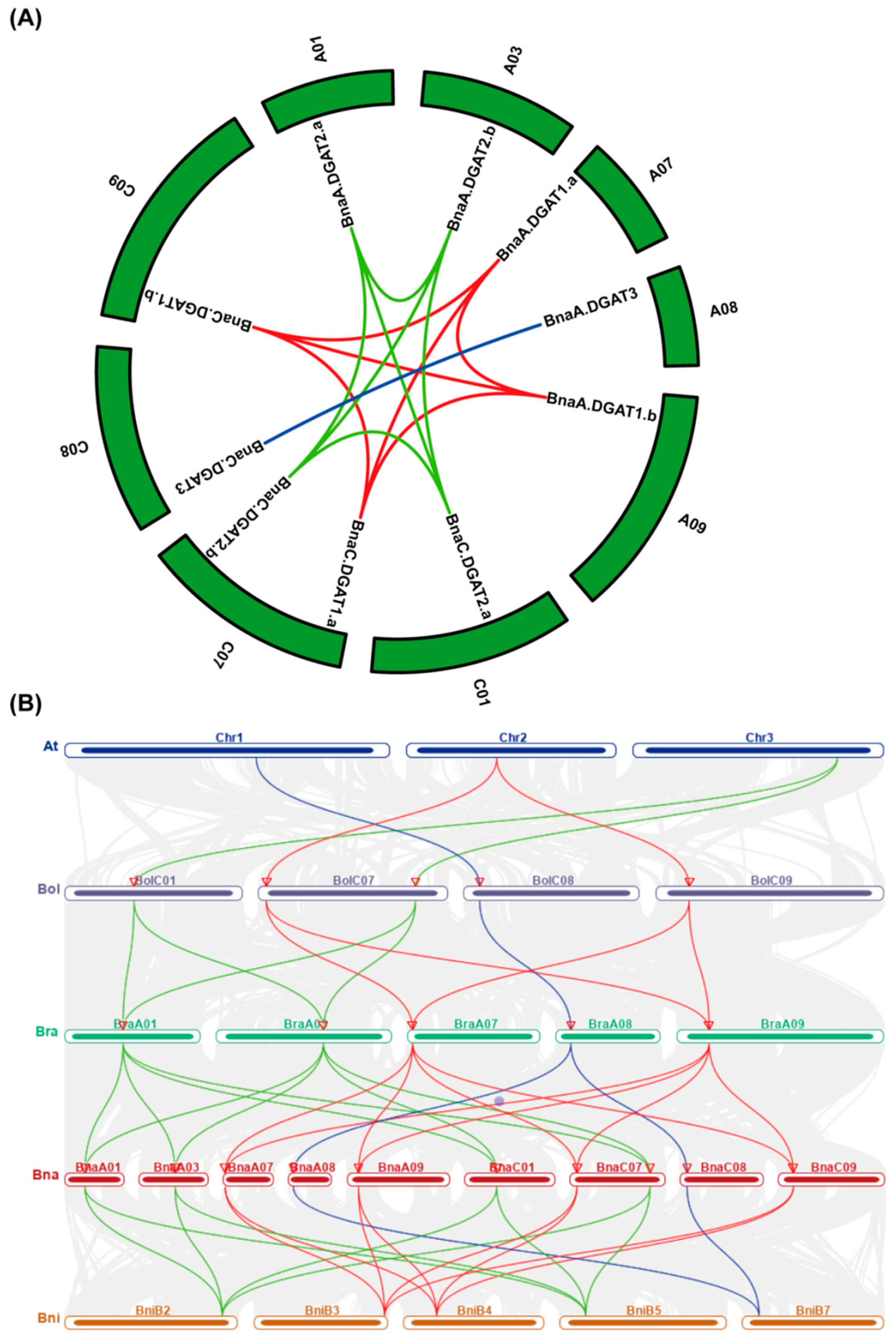 Plants 11 01156 g001