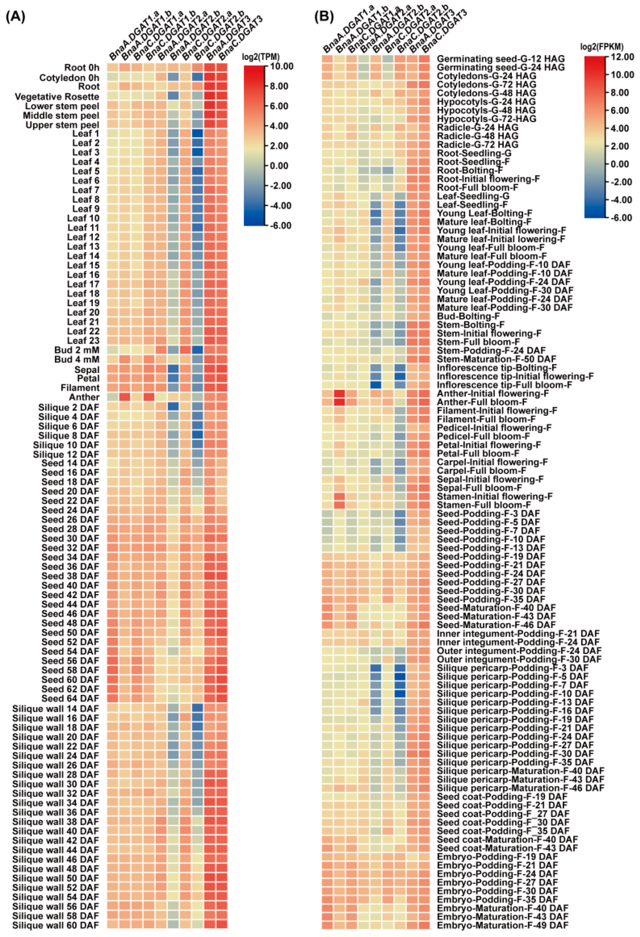 Plants 11 01156 g006