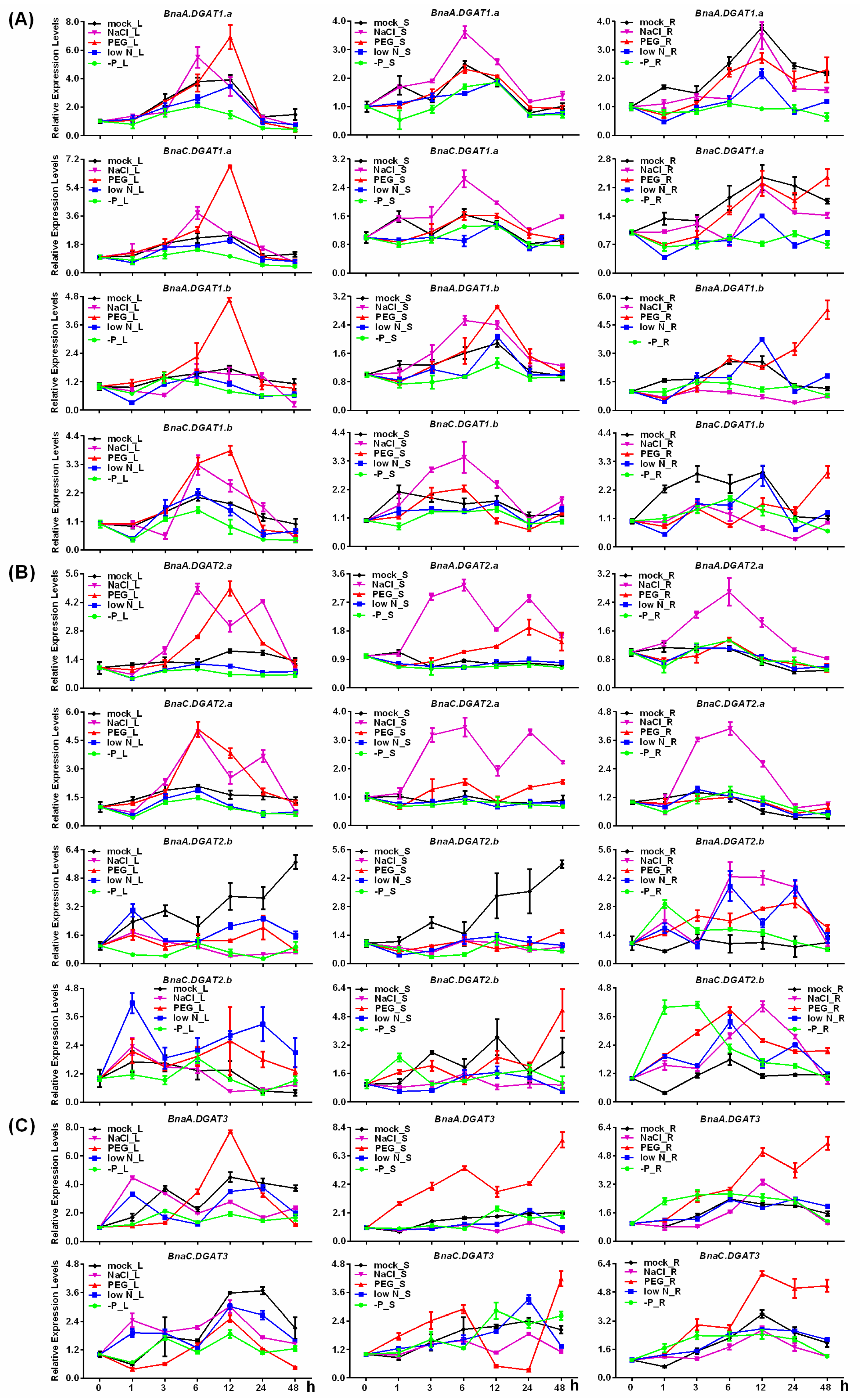 Plants 11 01156 g007