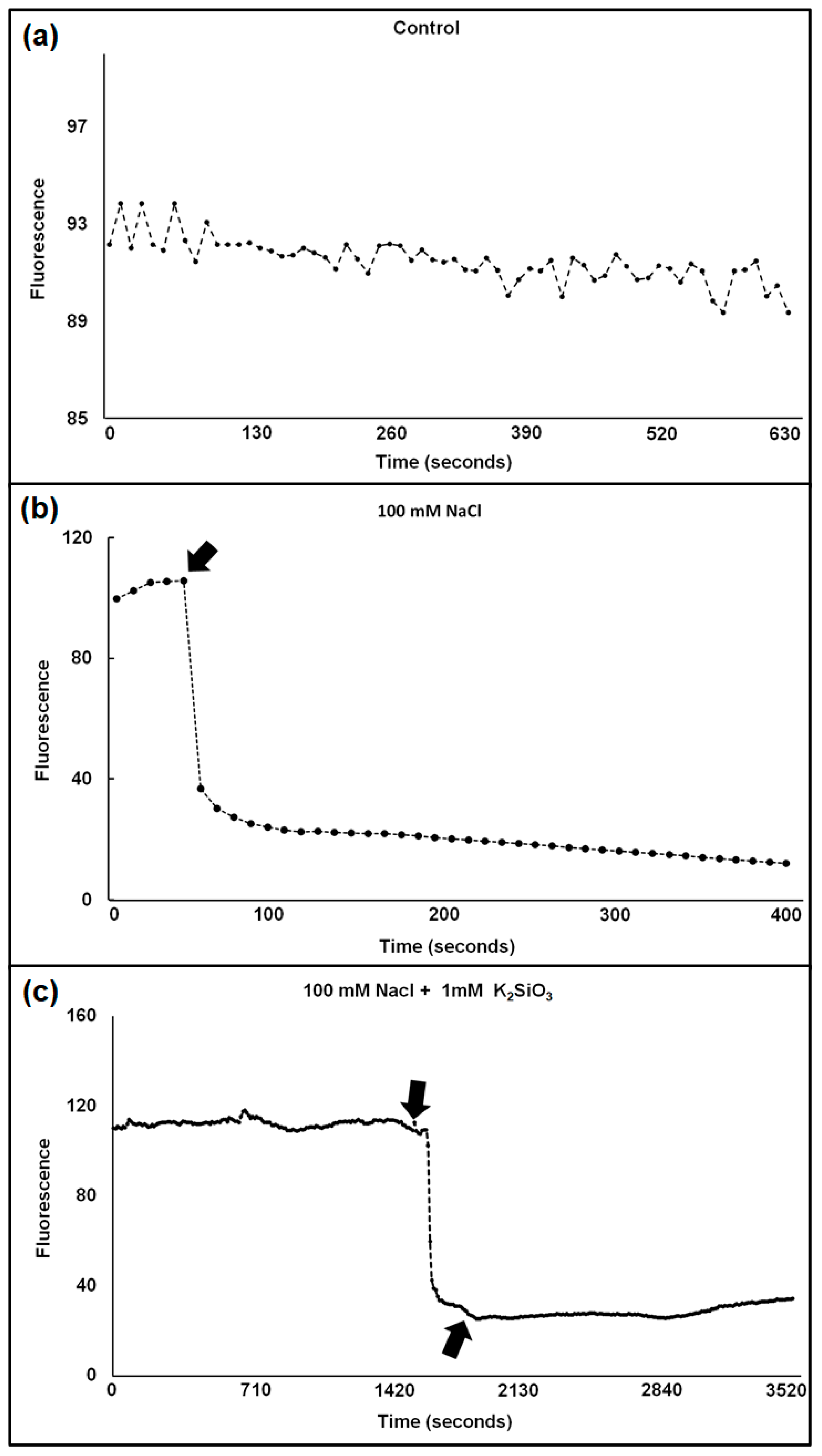Plants 11 01162 g001