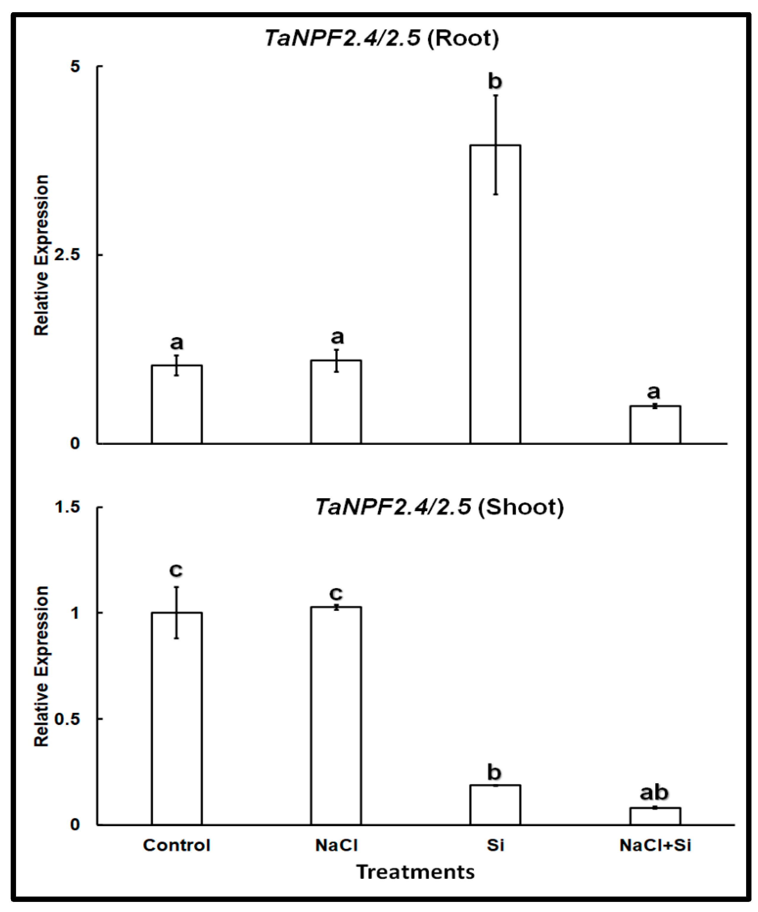 Plants 11 01162 g003