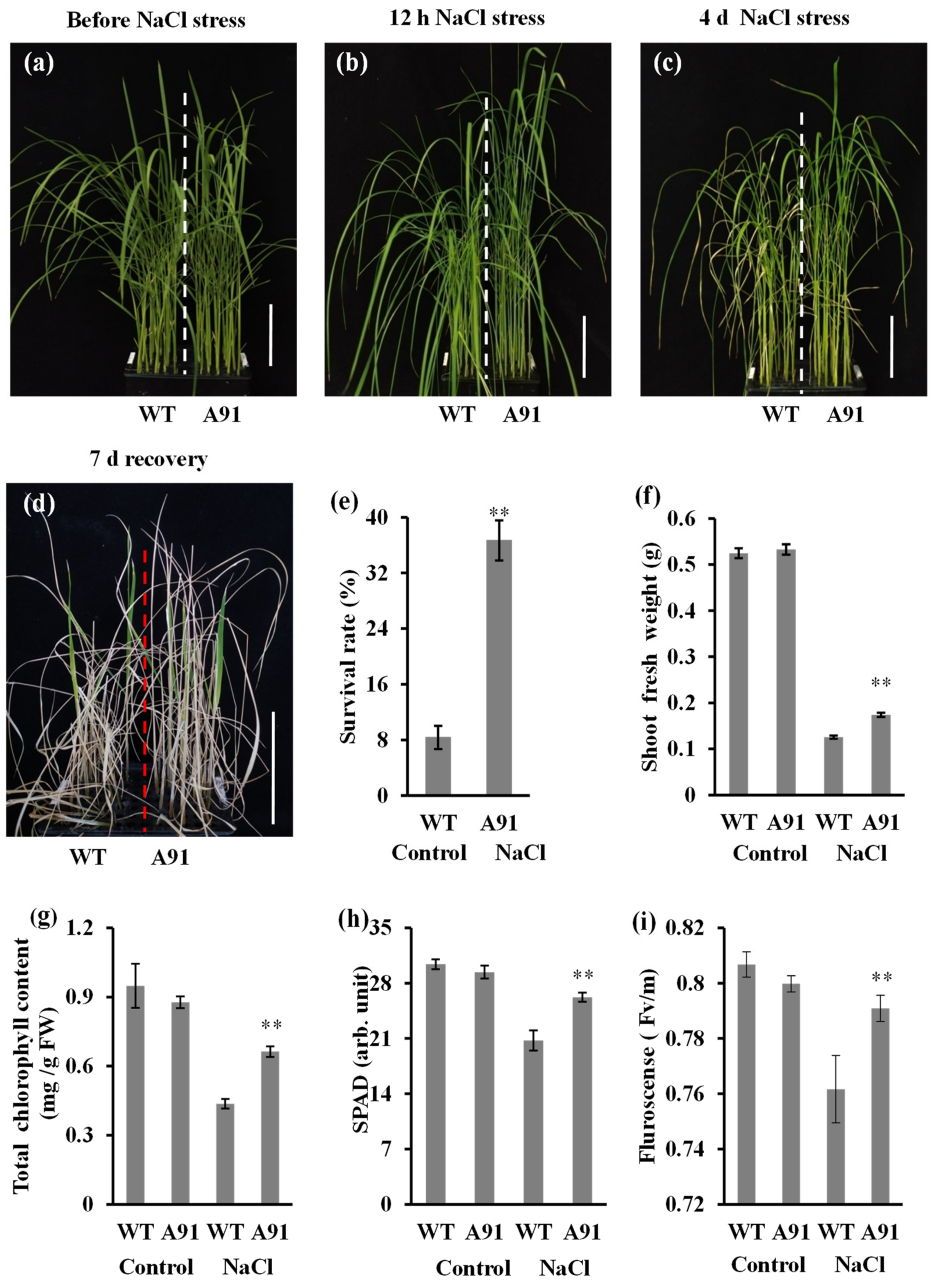 Plants 11 01184 g004