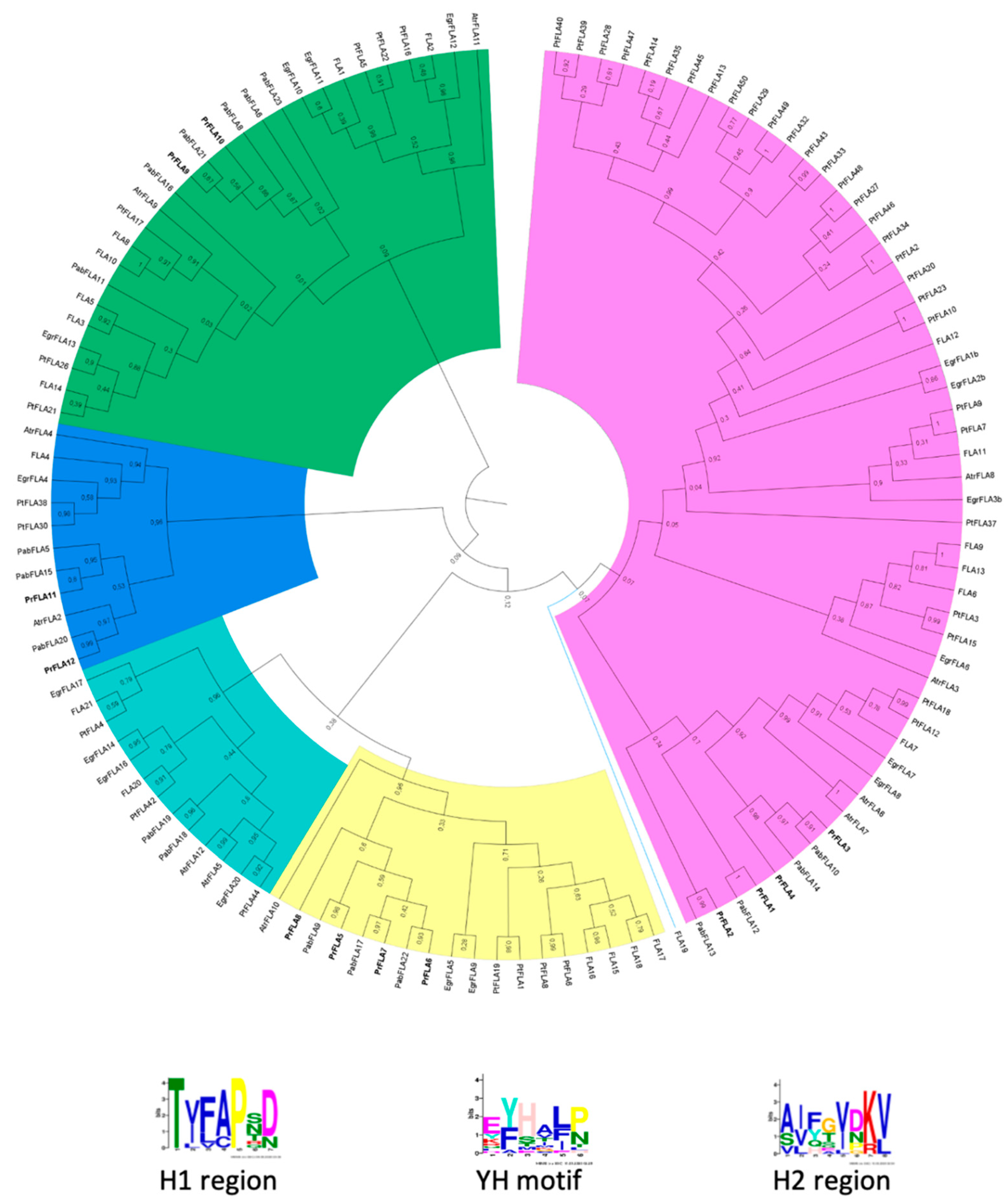 Plants 11 01190 g001 Plants 11 01190 g001